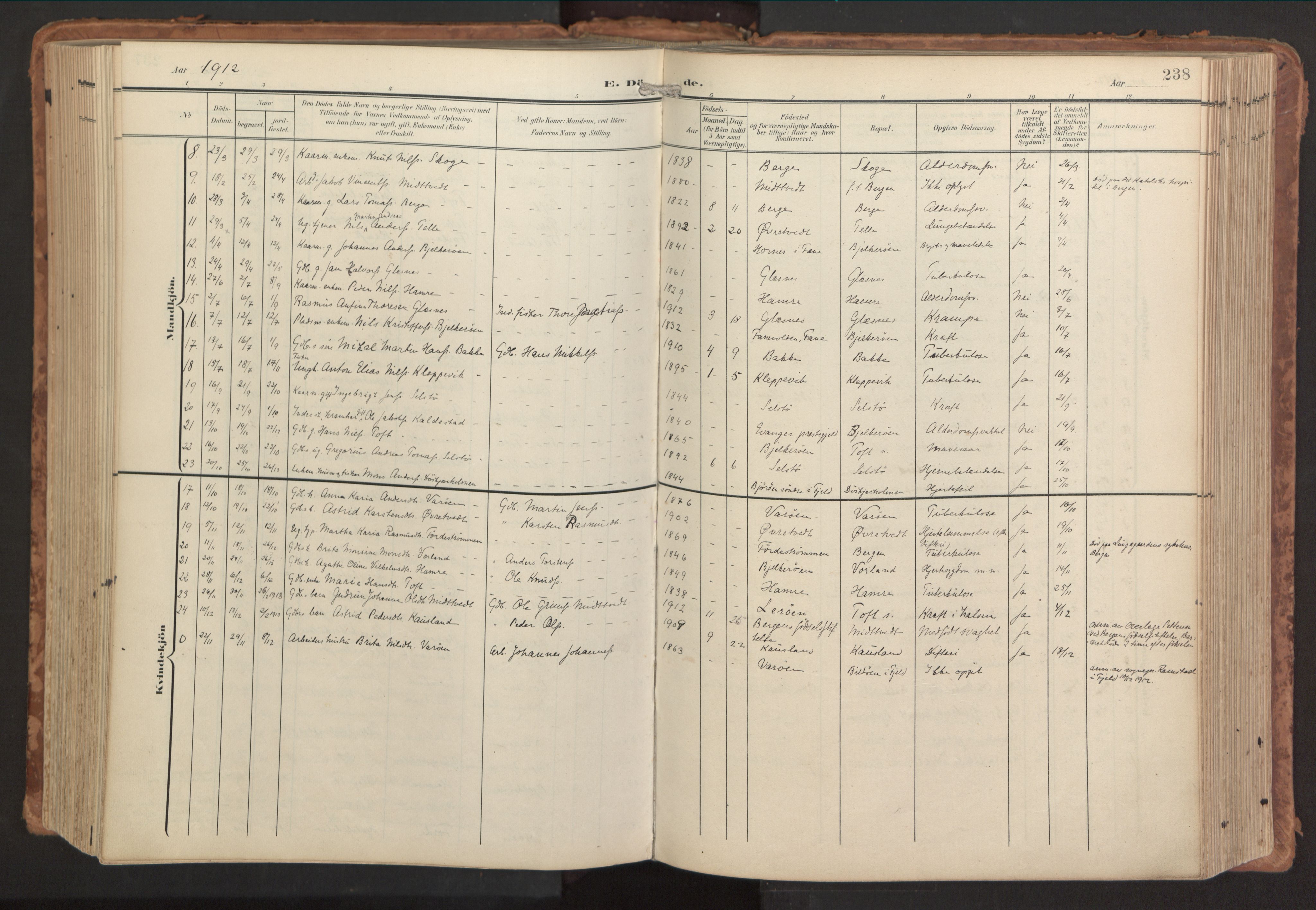 Sund sokneprestembete, SAB/A-99930: Parish register (official) no. B 2, 1907-1926, p. 238