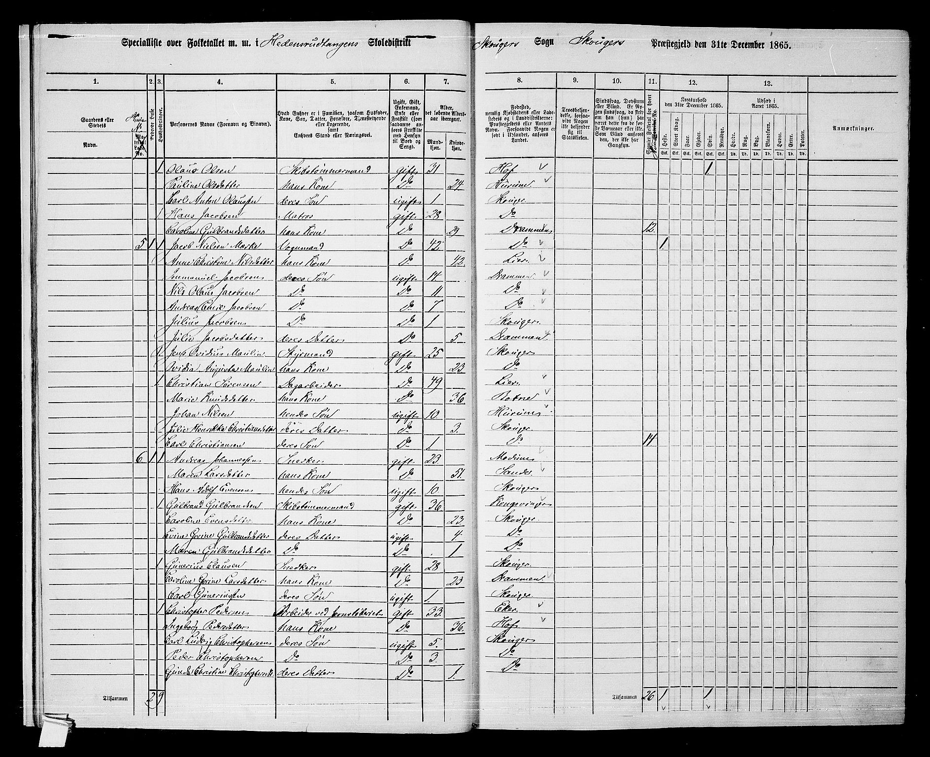 RA, 1865 census for Skoger, 1865, p. 14