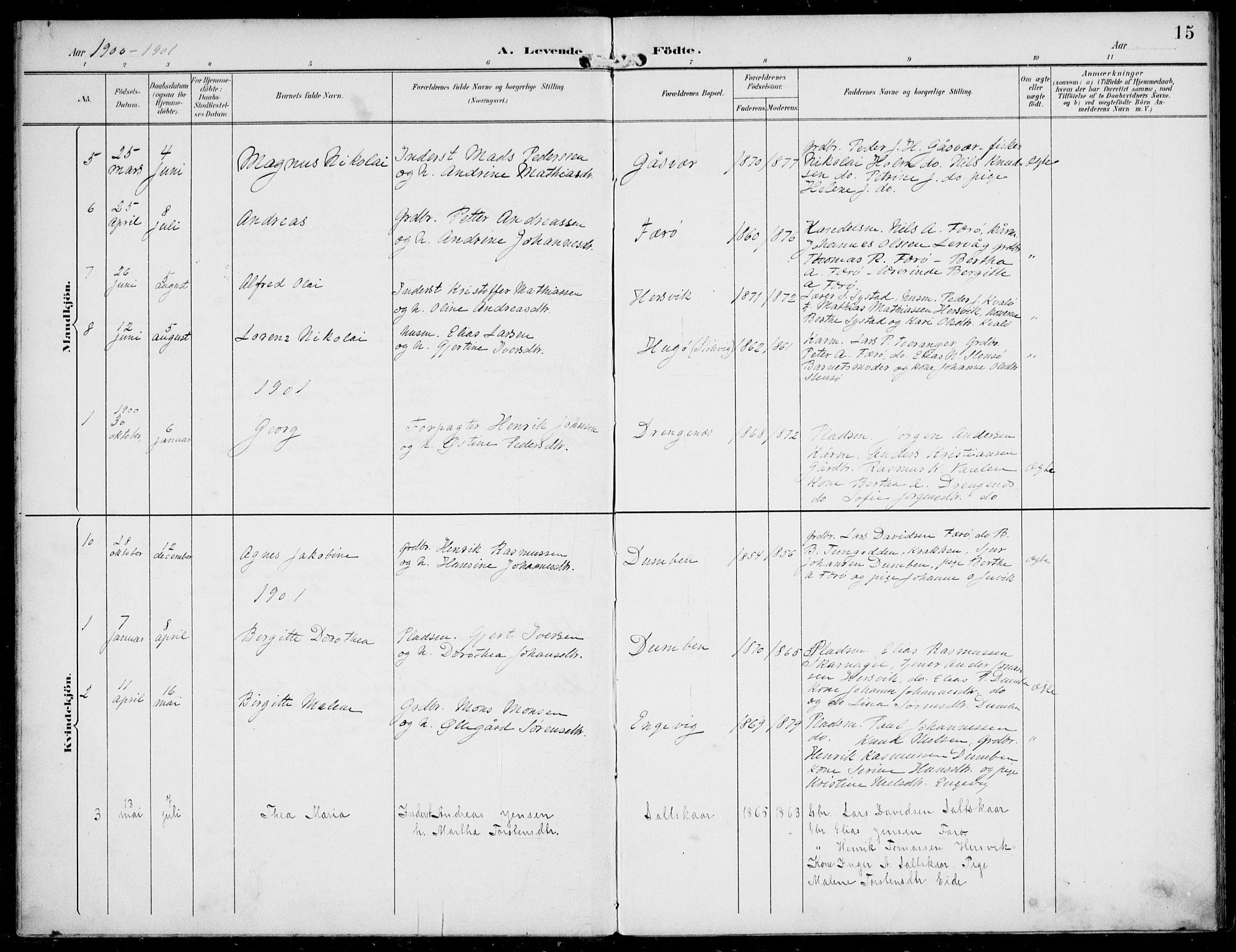 Solund sokneprestembete, AV/SAB-A-81401: Parish register (official) no. B  1, 1891-1901, p. 15