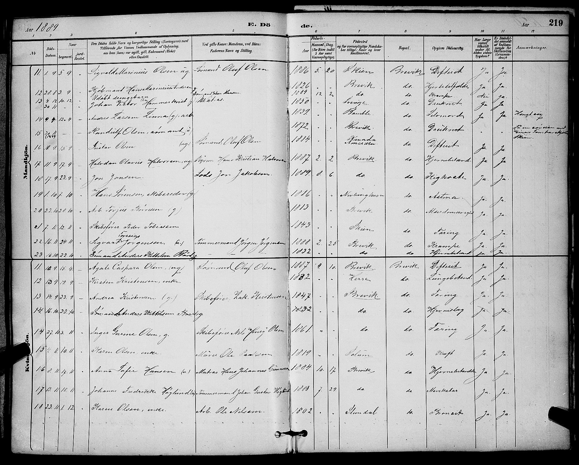 Brevik kirkebøker, SAKO/A-255/G/Ga/L0004: Parish register (copy) no. 4, 1882-1900, p. 219