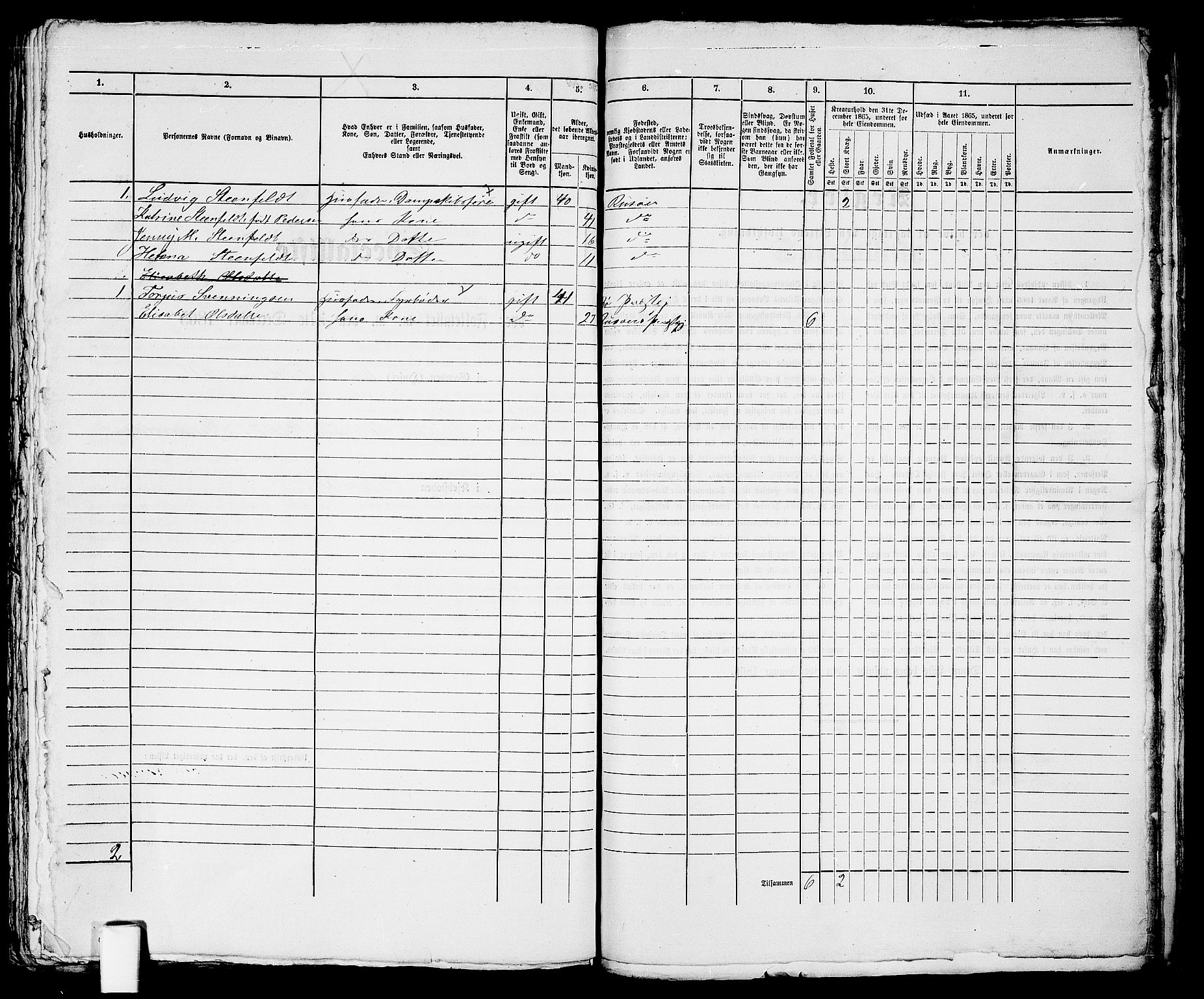 RA, 1865 census for Risør/Risør, 1865, p. 666