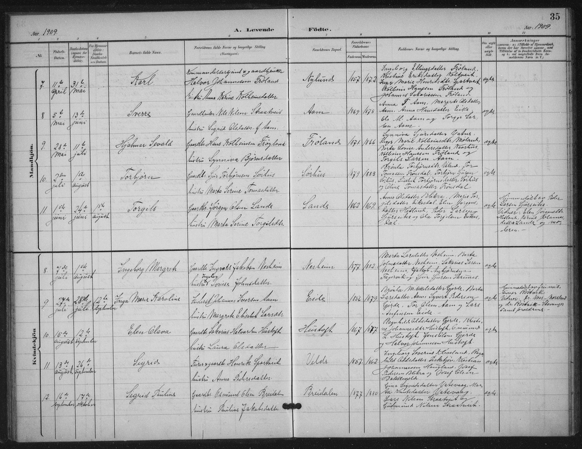 Skjold sokneprestkontor, SAST/A-101847/H/Ha/Haa/L0012: Parish register (official) no. A 12, 1899-1915, p. 35