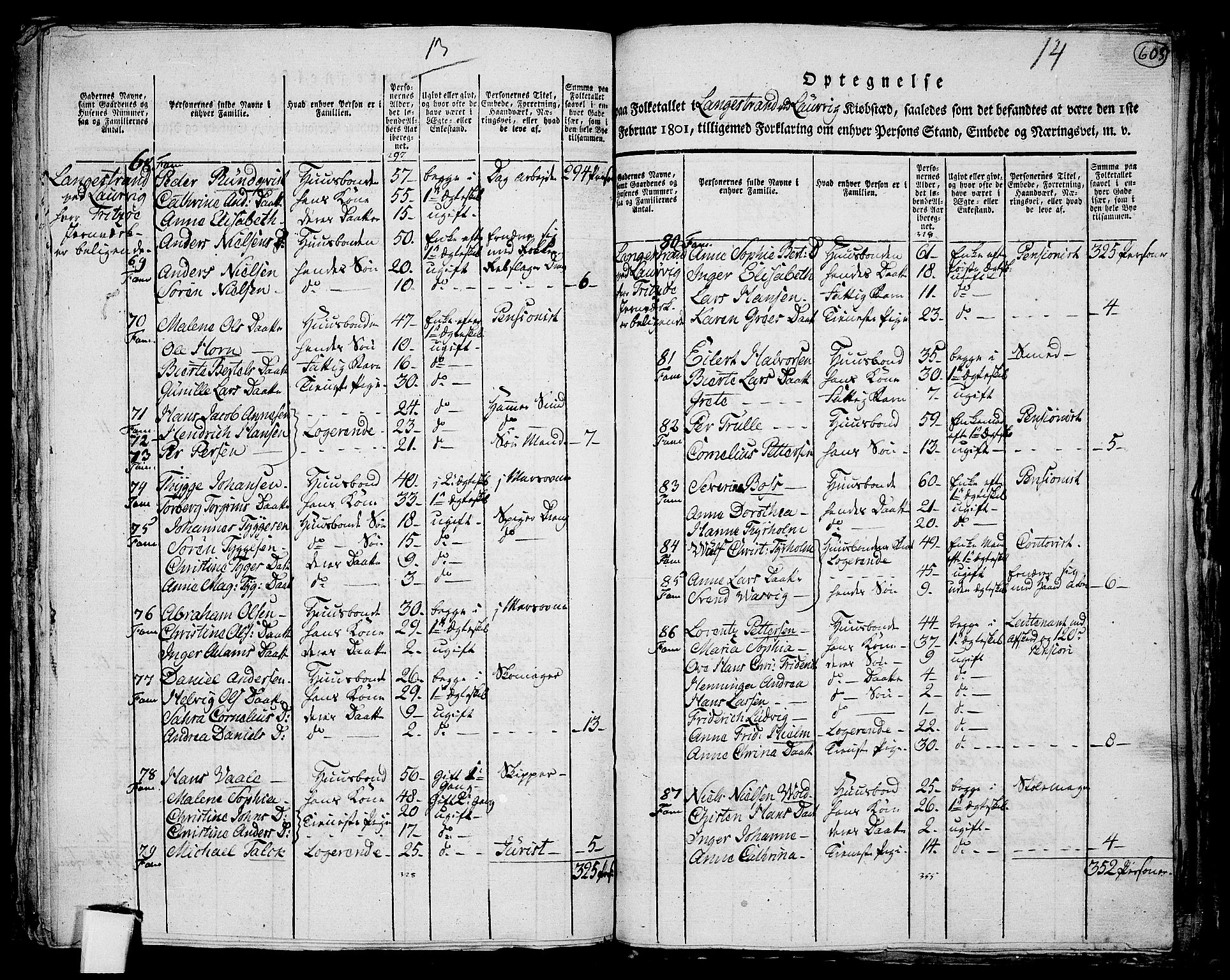 RA, 1801 census for 0707P Larvik, 1801, p. 602b-603a