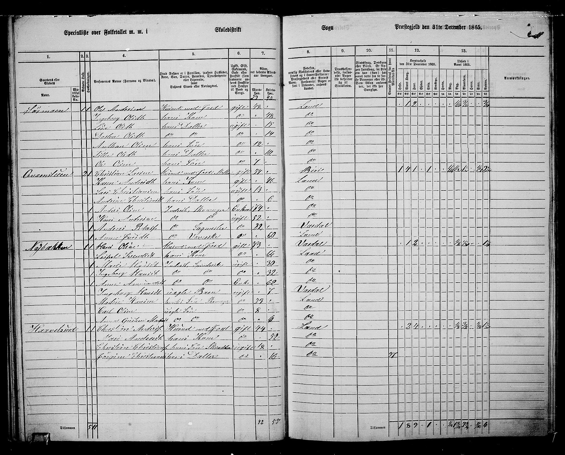 RA, 1865 census for Land, 1865, p. 246