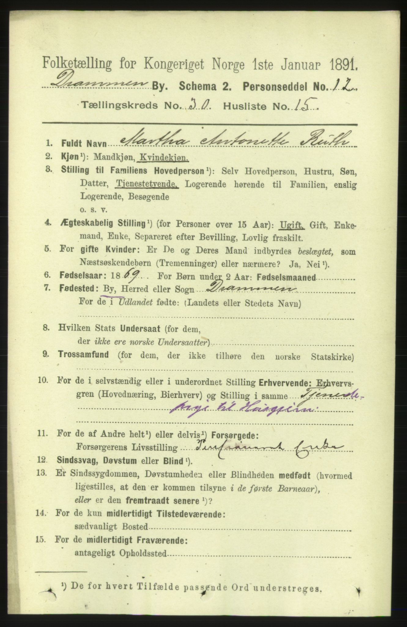 RA, 1891 census for 0602 Drammen, 1891, p. 18310