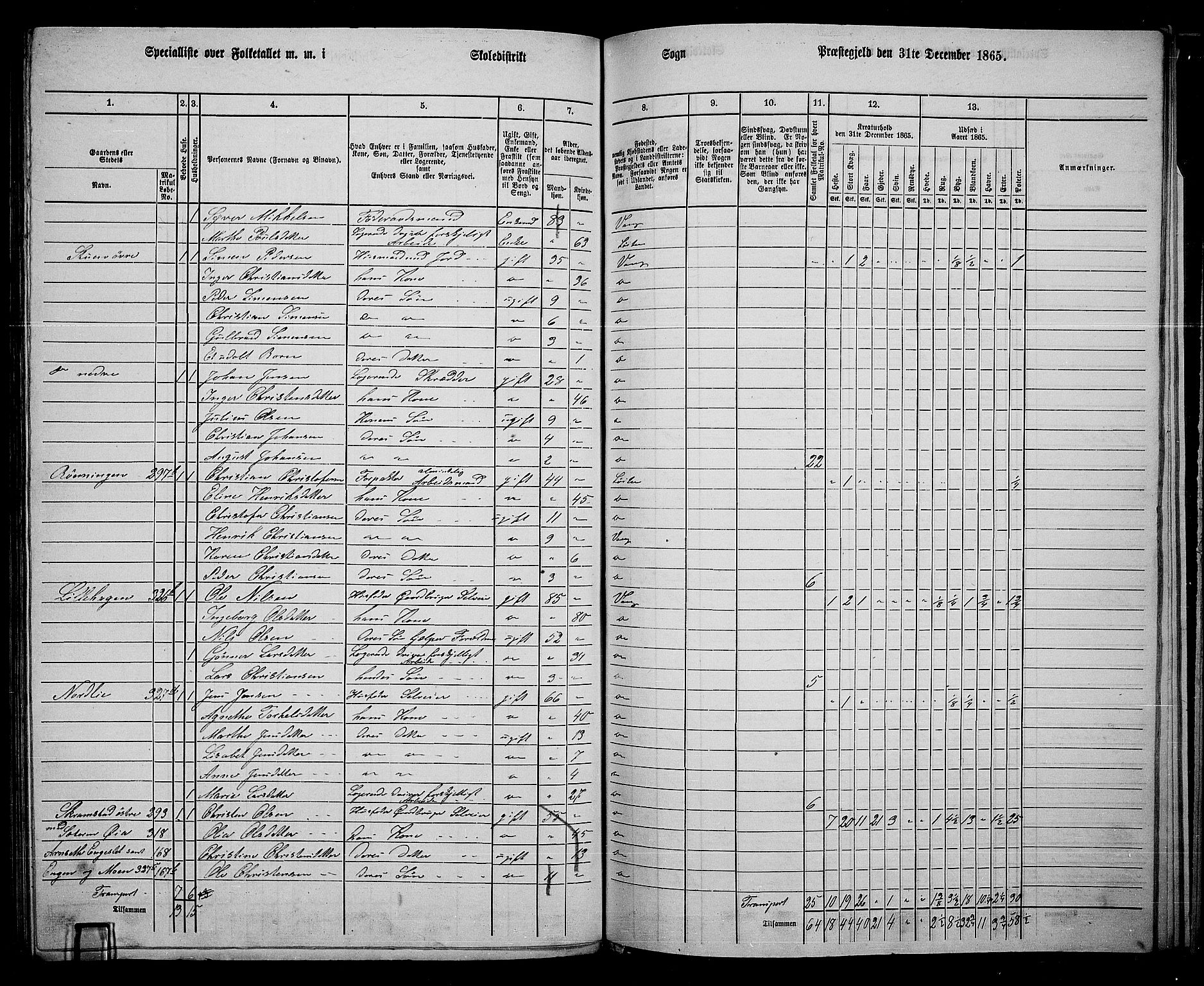 RA, 1865 census for Vang/Vang og Furnes, 1865, p. 296