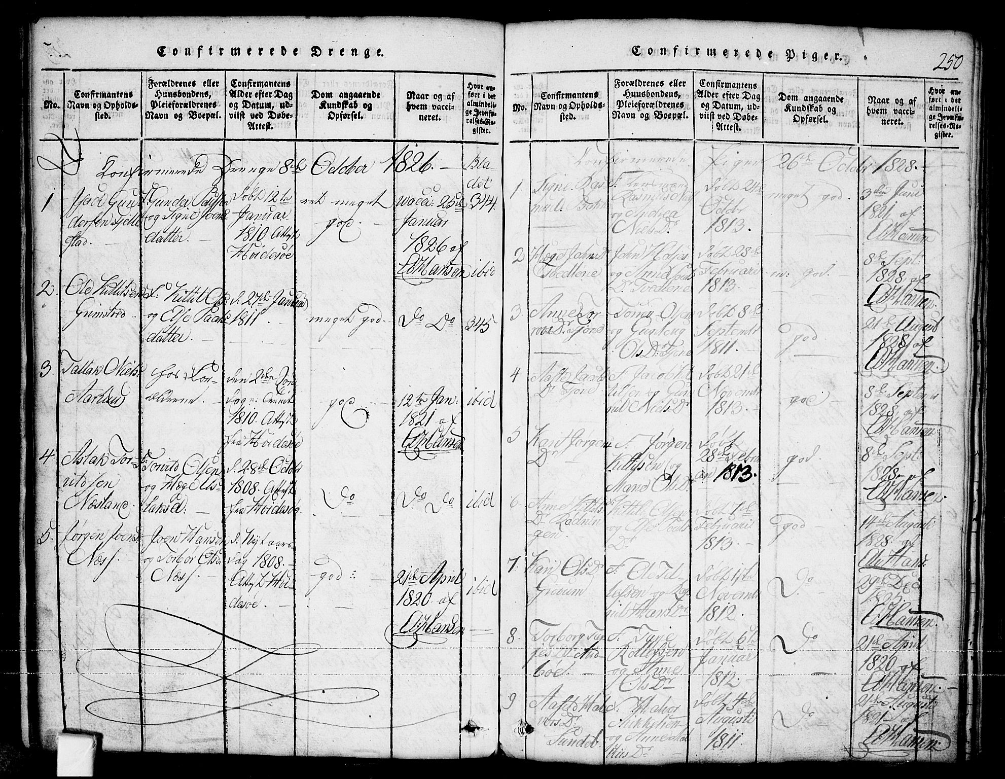 Nissedal kirkebøker, SAKO/A-288/G/Ga/L0001: Parish register (copy) no. I 1, 1814-1860, p. 250