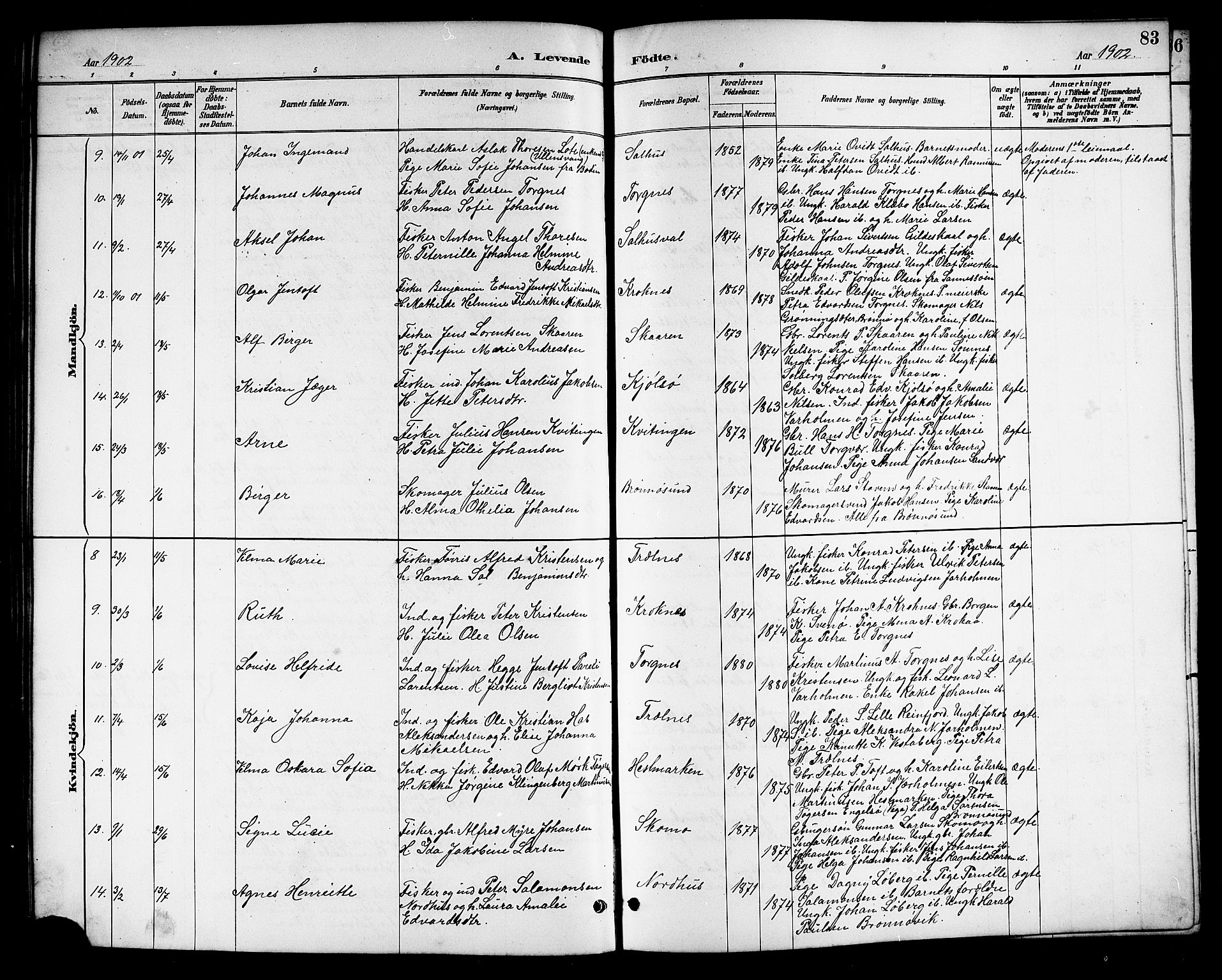 Ministerialprotokoller, klokkerbøker og fødselsregistre - Nordland, SAT/A-1459/813/L0213: Parish register (copy) no. 813C05, 1887-1903, p. 83