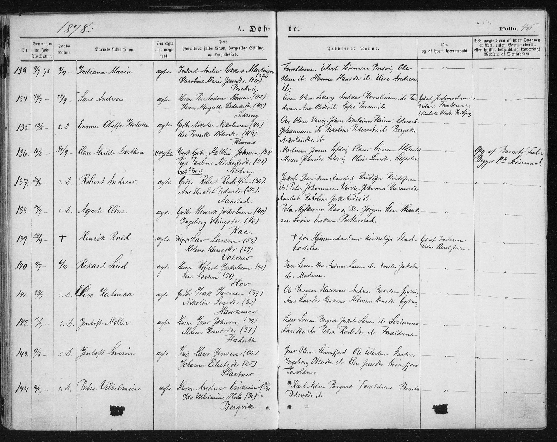 Ministerialprotokoller, klokkerbøker og fødselsregistre - Nordland, AV/SAT-A-1459/888/L1243: Parish register (official) no. 888A09, 1876-1879, p. 46