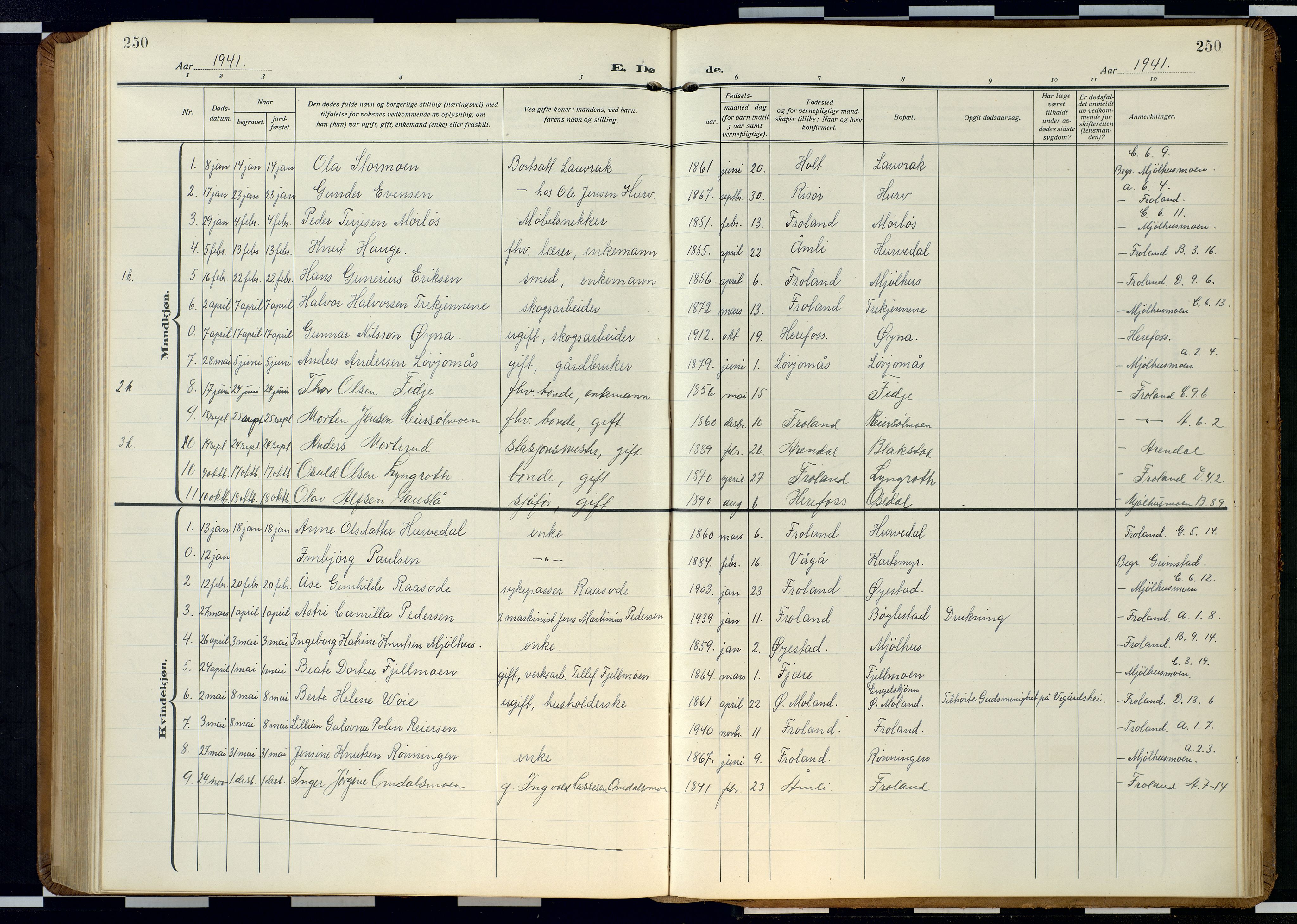 Froland sokneprestkontor, AV/SAK-1111-0013/F/Fb/L0011: Parish register (copy) no. B 11, 1921-1947, p. 250