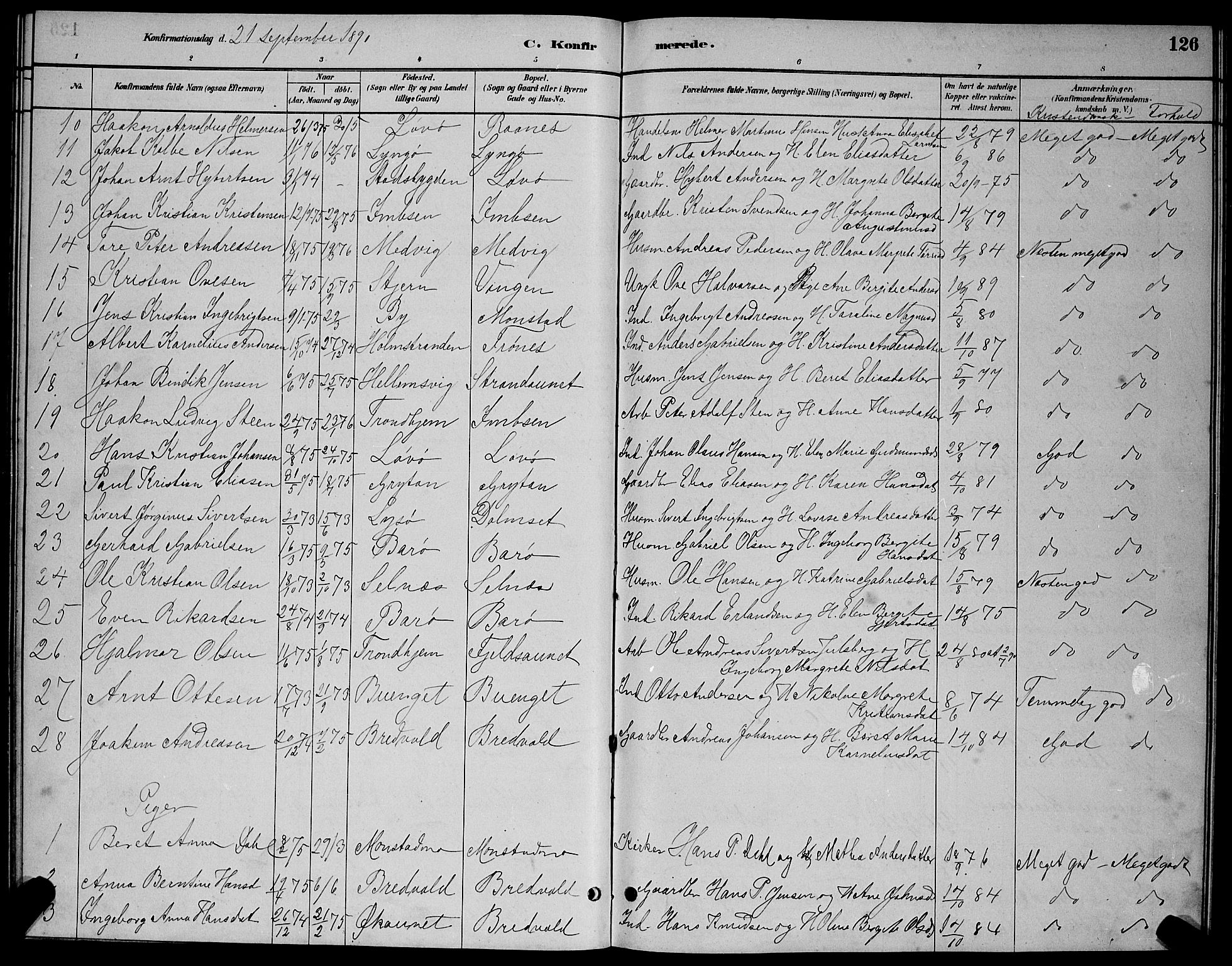 Ministerialprotokoller, klokkerbøker og fødselsregistre - Sør-Trøndelag, SAT/A-1456/655/L0687: Parish register (copy) no. 655C03, 1880-1898, p. 126