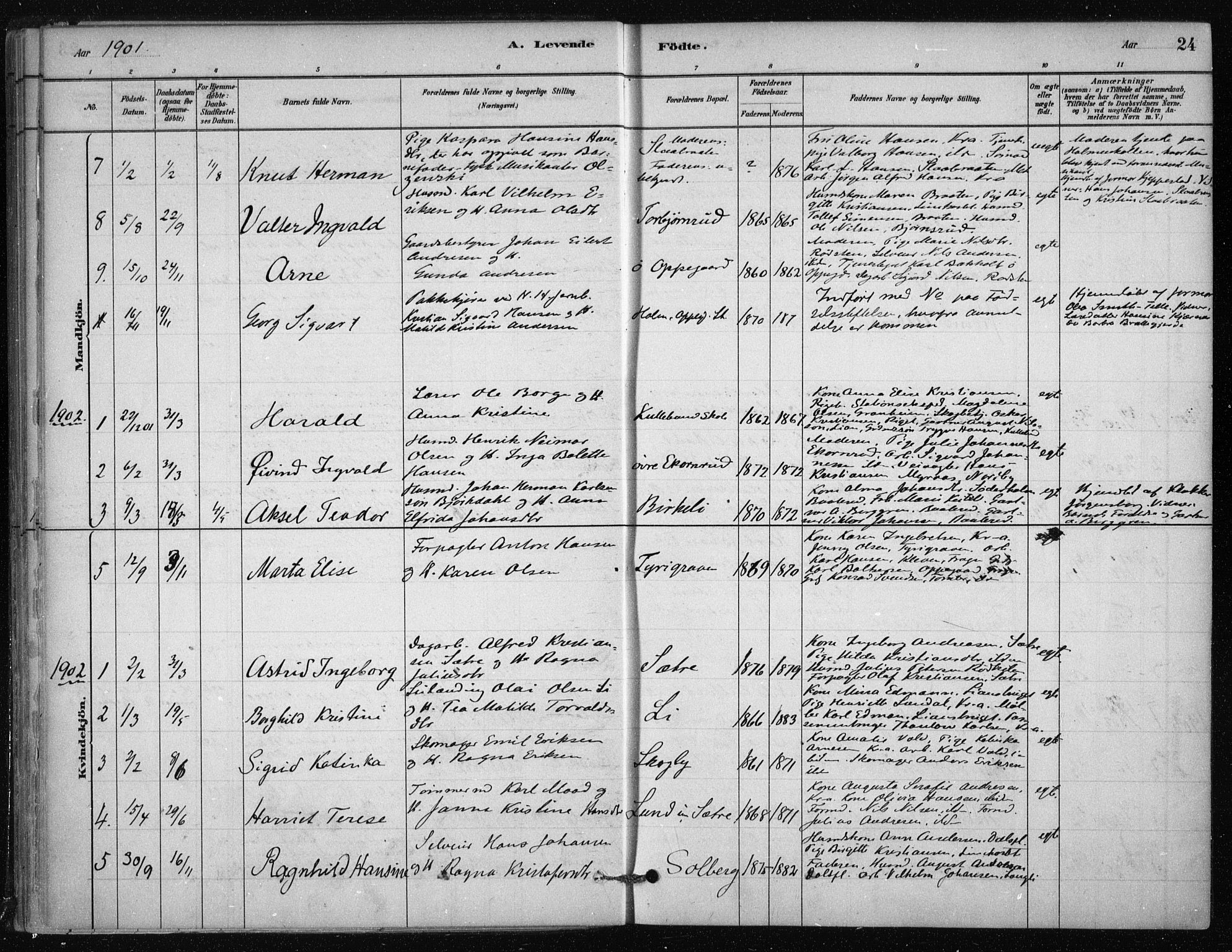 Nesodden prestekontor Kirkebøker, SAO/A-10013/F/Fb/L0001: Parish register (official) no. II 1, 1880-1915, p. 24