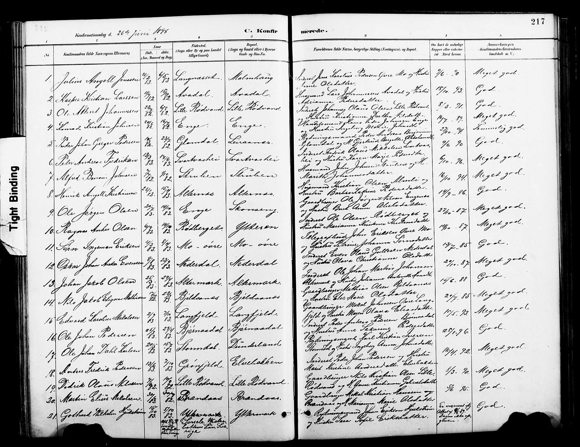 Ministerialprotokoller, klokkerbøker og fødselsregistre - Nordland, SAT/A-1459/827/L0421: Parish register (copy) no. 827C10, 1887-1906, p. 217