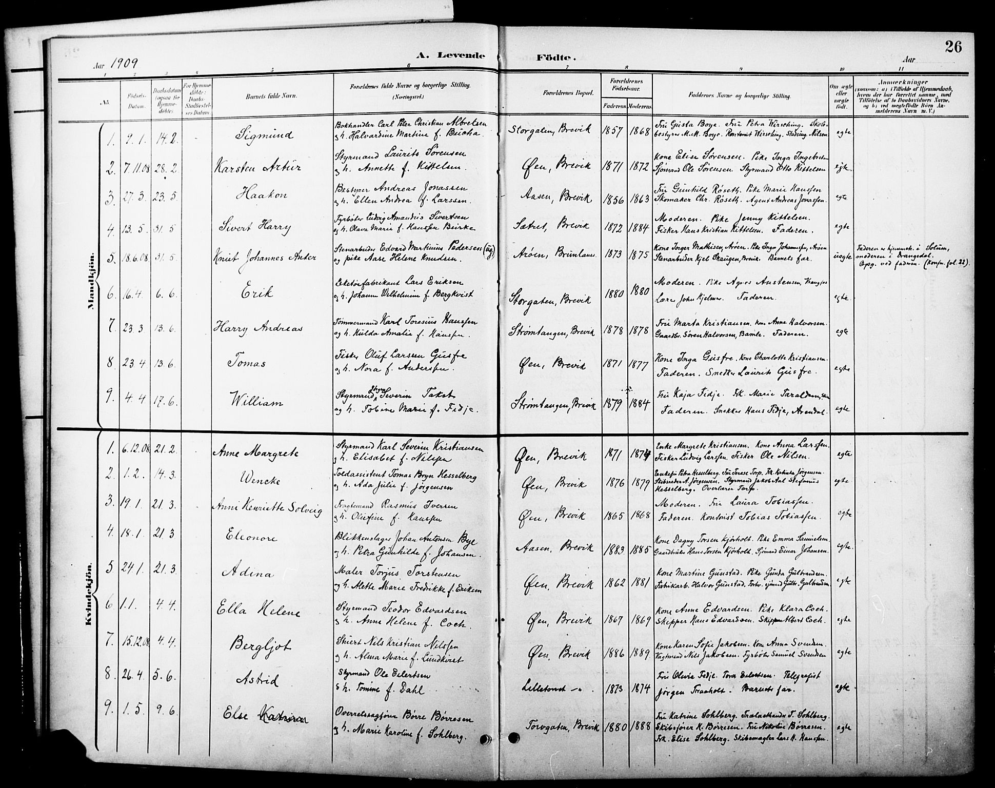 Brevik kirkebøker, SAKO/A-255/G/Ga/L0005: Parish register (copy) no. 5, 1901-1924, p. 26