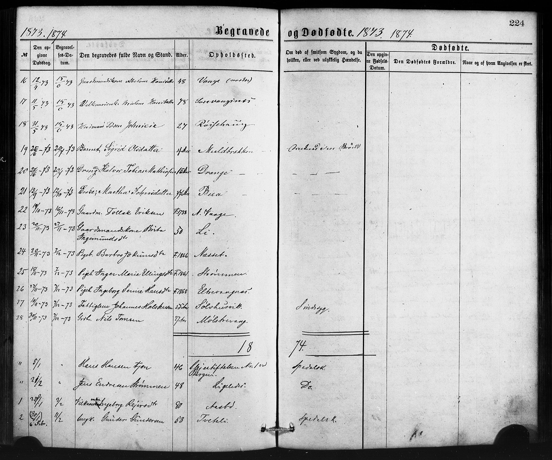 Sveio Sokneprestembete, AV/SAB-A-78501/H/Haa: Parish register (official) no. B 1, 1870-1883, p. 224