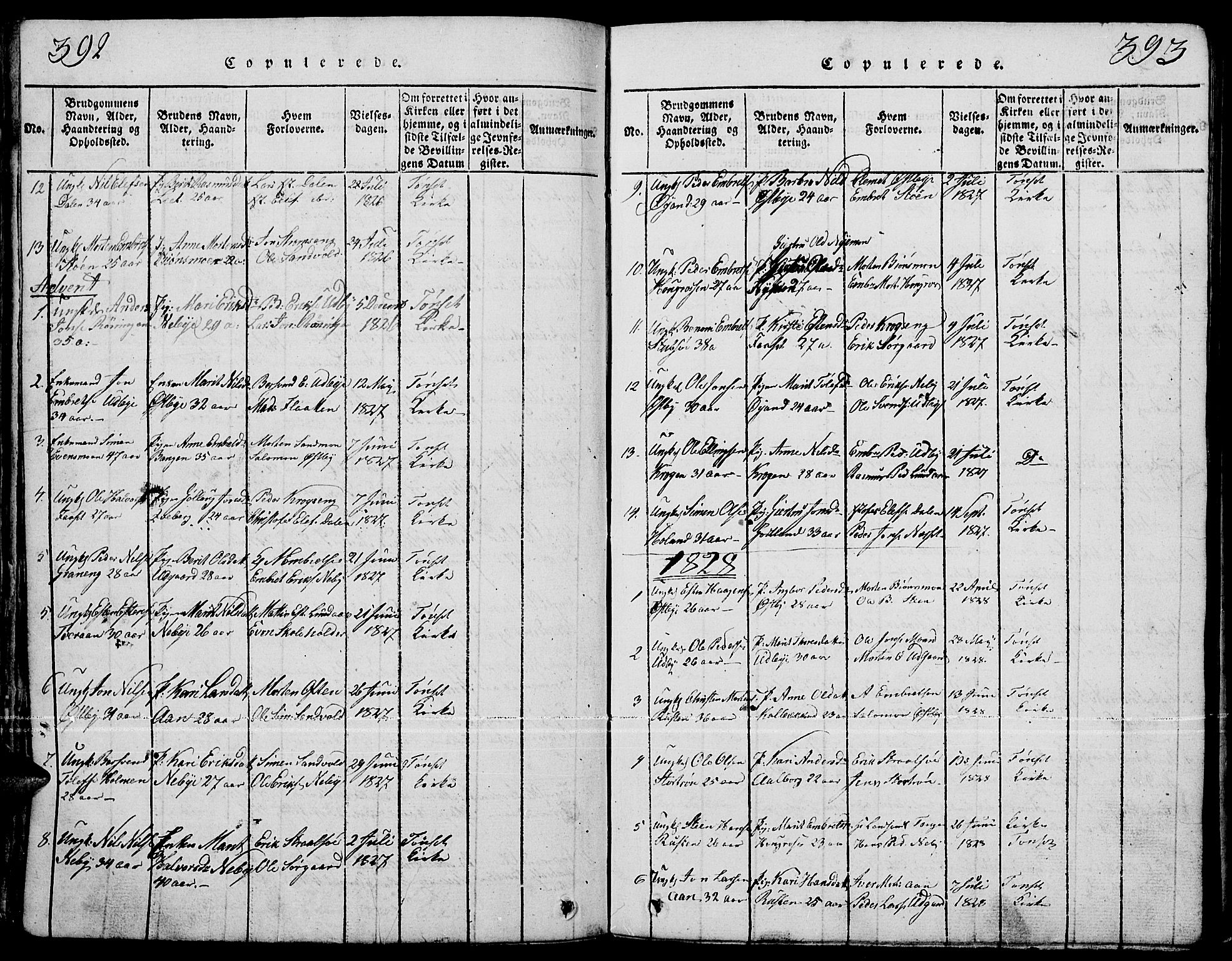 Tynset prestekontor, SAH/PREST-058/H/Ha/Hab/L0001: Parish register (copy) no. 1, 1814-1859, p. 392-393