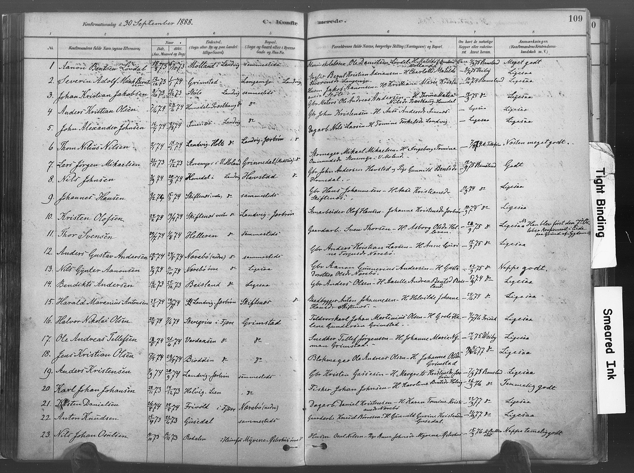 Hommedal sokneprestkontor, SAK/1111-0023/F/Fa/Fab/L0006: Parish register (official) no. A 6, 1878-1897, p. 109