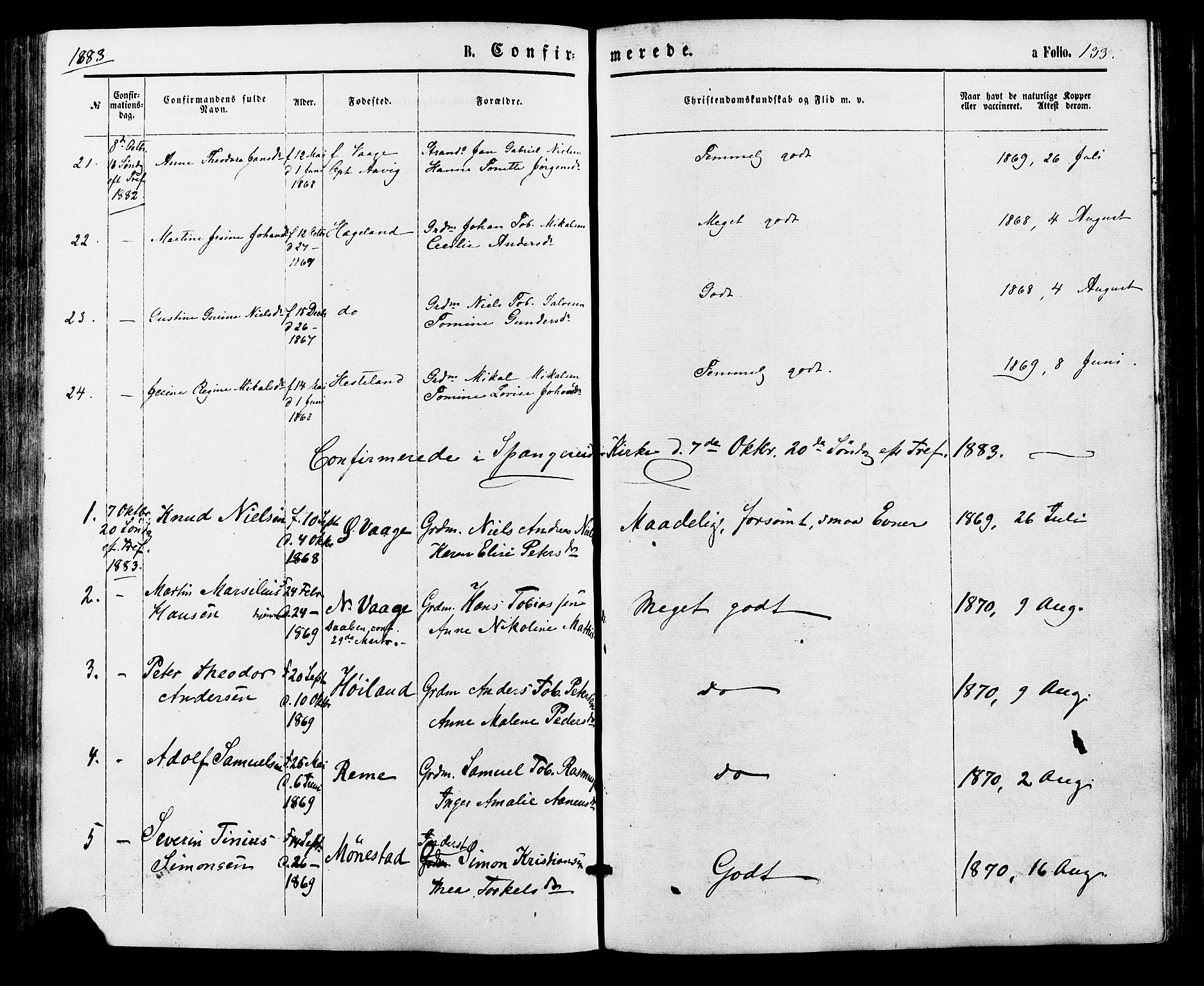 Sør-Audnedal sokneprestkontor, AV/SAK-1111-0039/F/Fa/Faa/L0003: Parish register (official) no. A 3, 1868-1883, p. 133