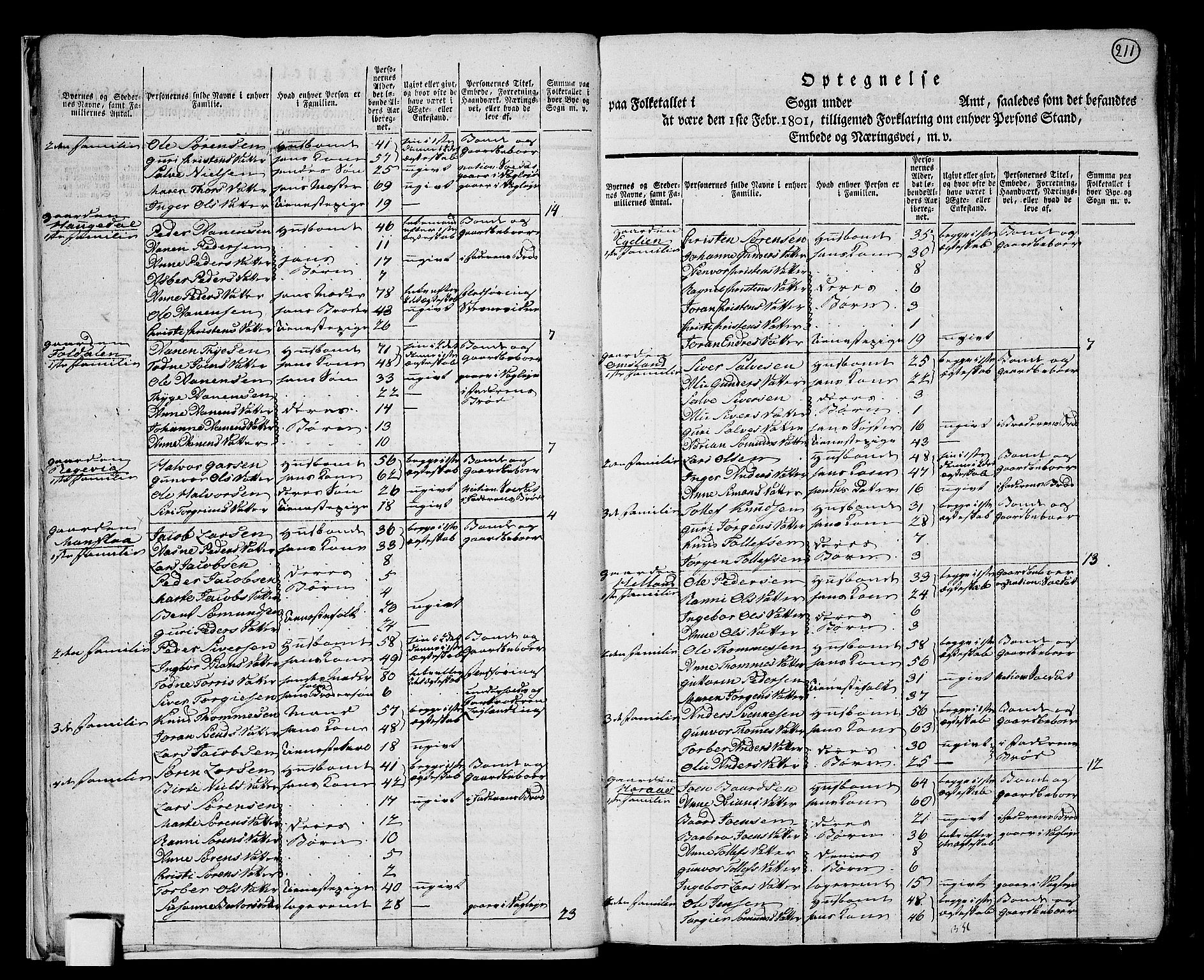 RA, 1801 census for 1024P Bjelland, 1801, p. 210b-211a