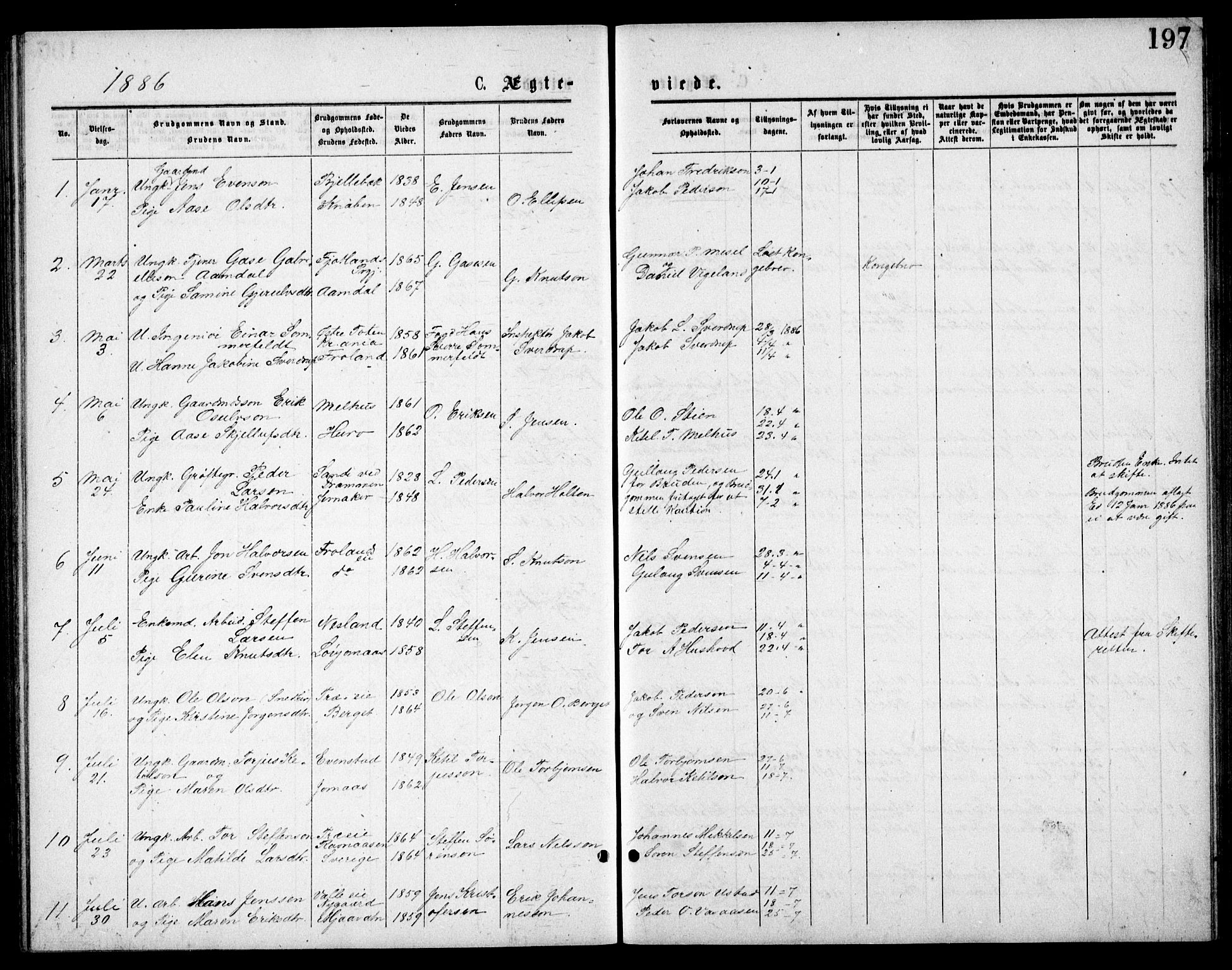 Froland sokneprestkontor, SAK/1111-0013/F/Fb/L0009: Parish register (copy) no. B 9, 1875-1893, p. 197
