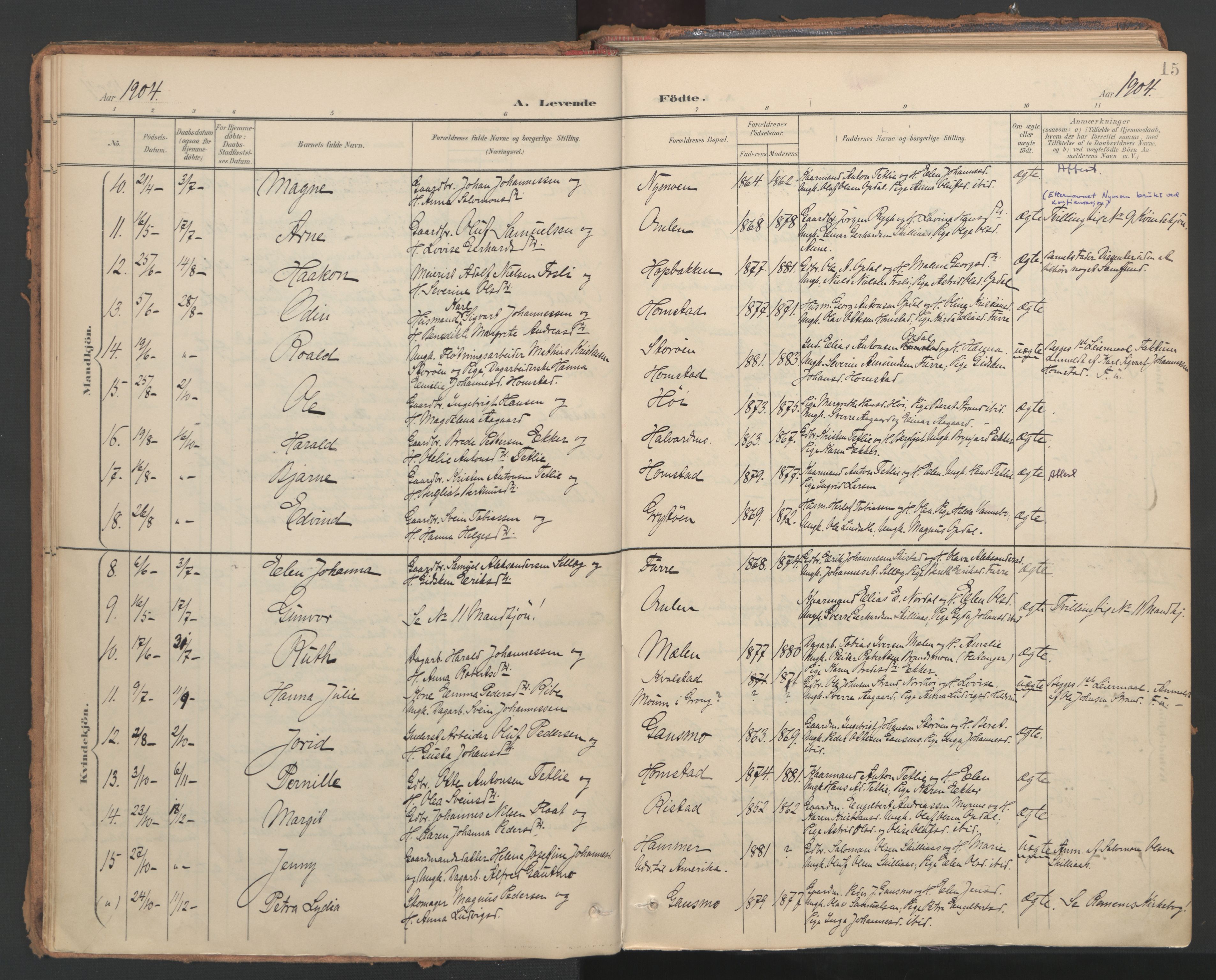 Ministerialprotokoller, klokkerbøker og fødselsregistre - Nord-Trøndelag, SAT/A-1458/766/L0564: Parish register (official) no. 767A02, 1900-1932, p. 15