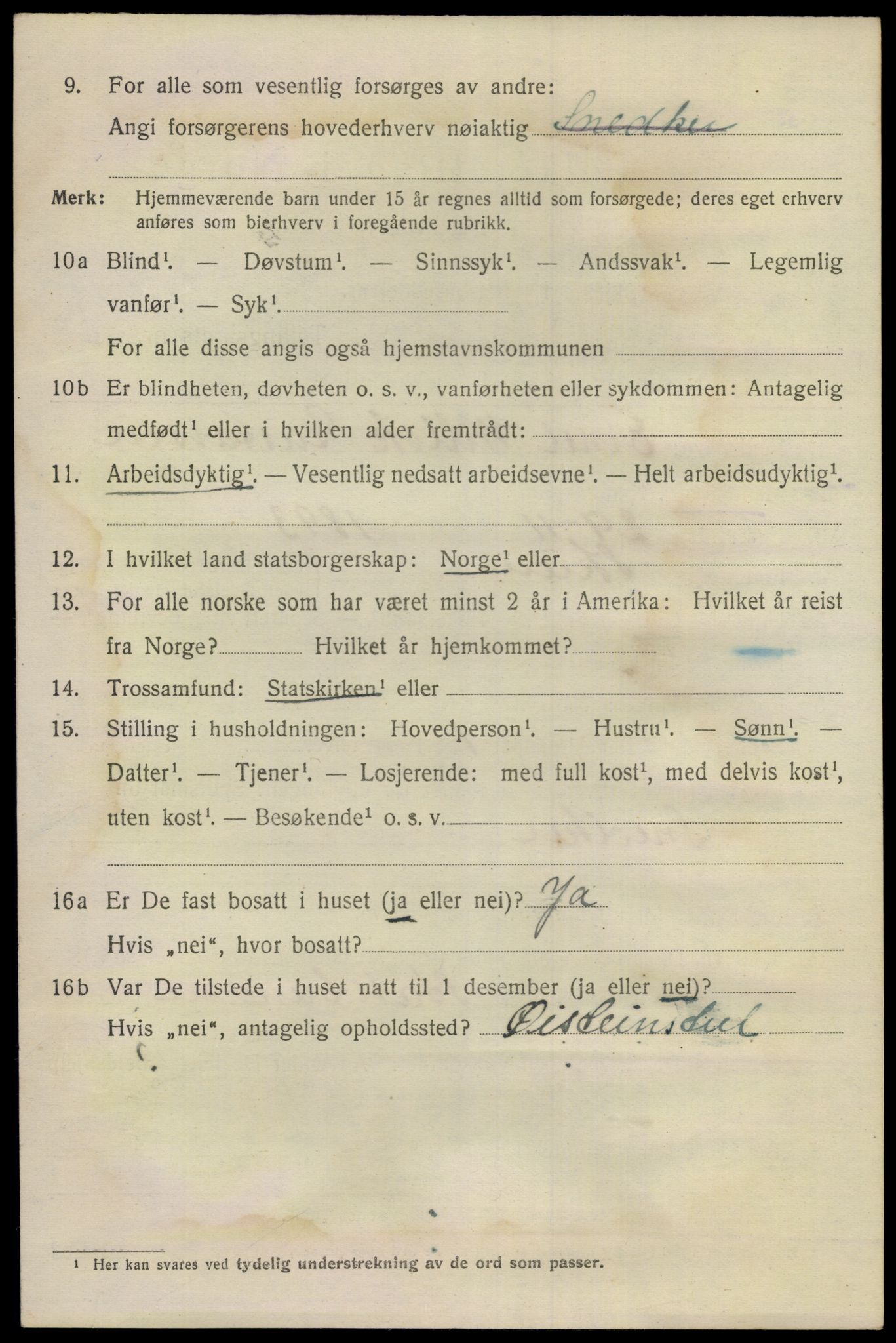 SAKO, 1920 census for Skien, 1920, p. 30789