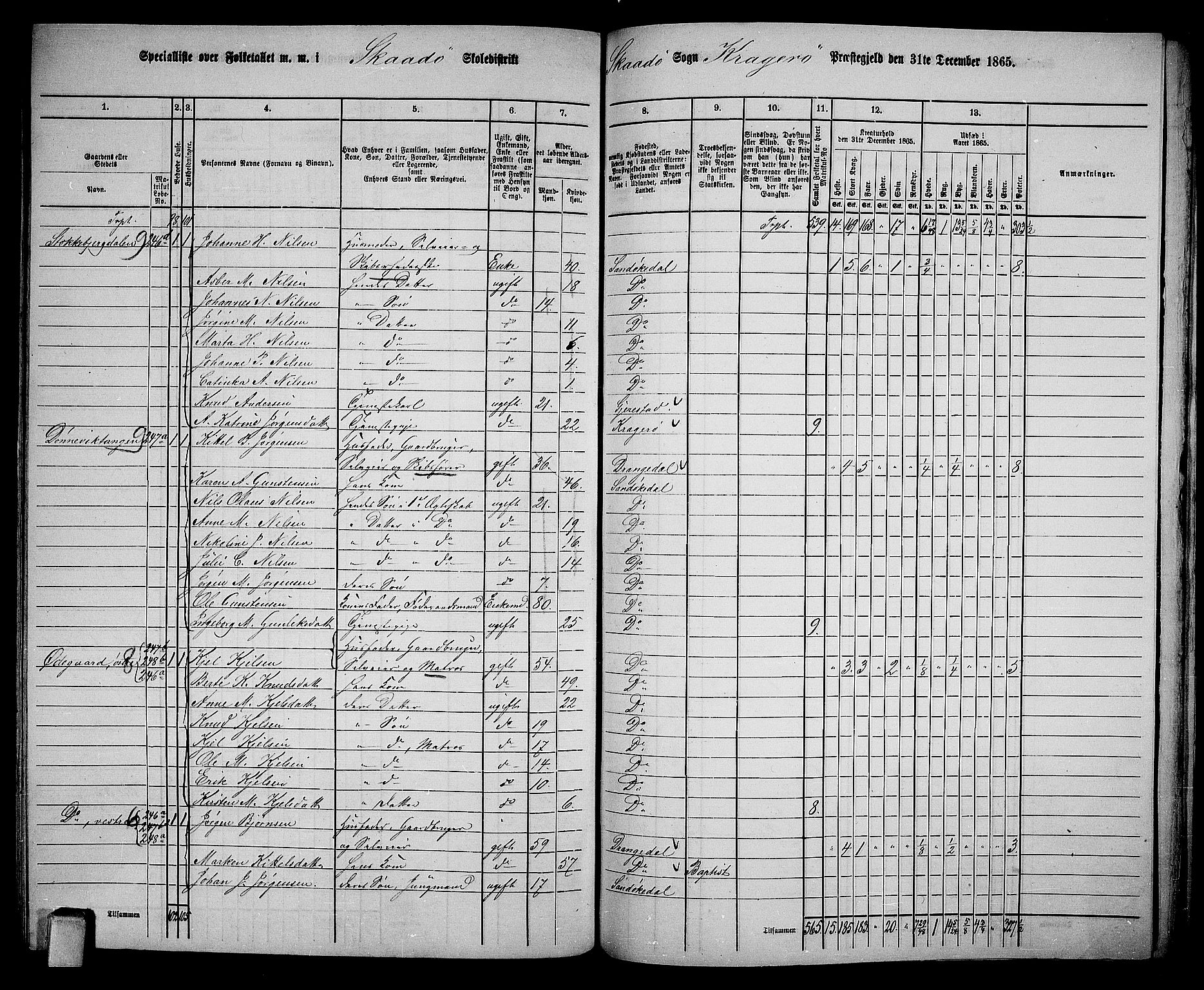 RA, 1865 census for Kragerø/Sannidal og Skåtøy, 1865, p. 198