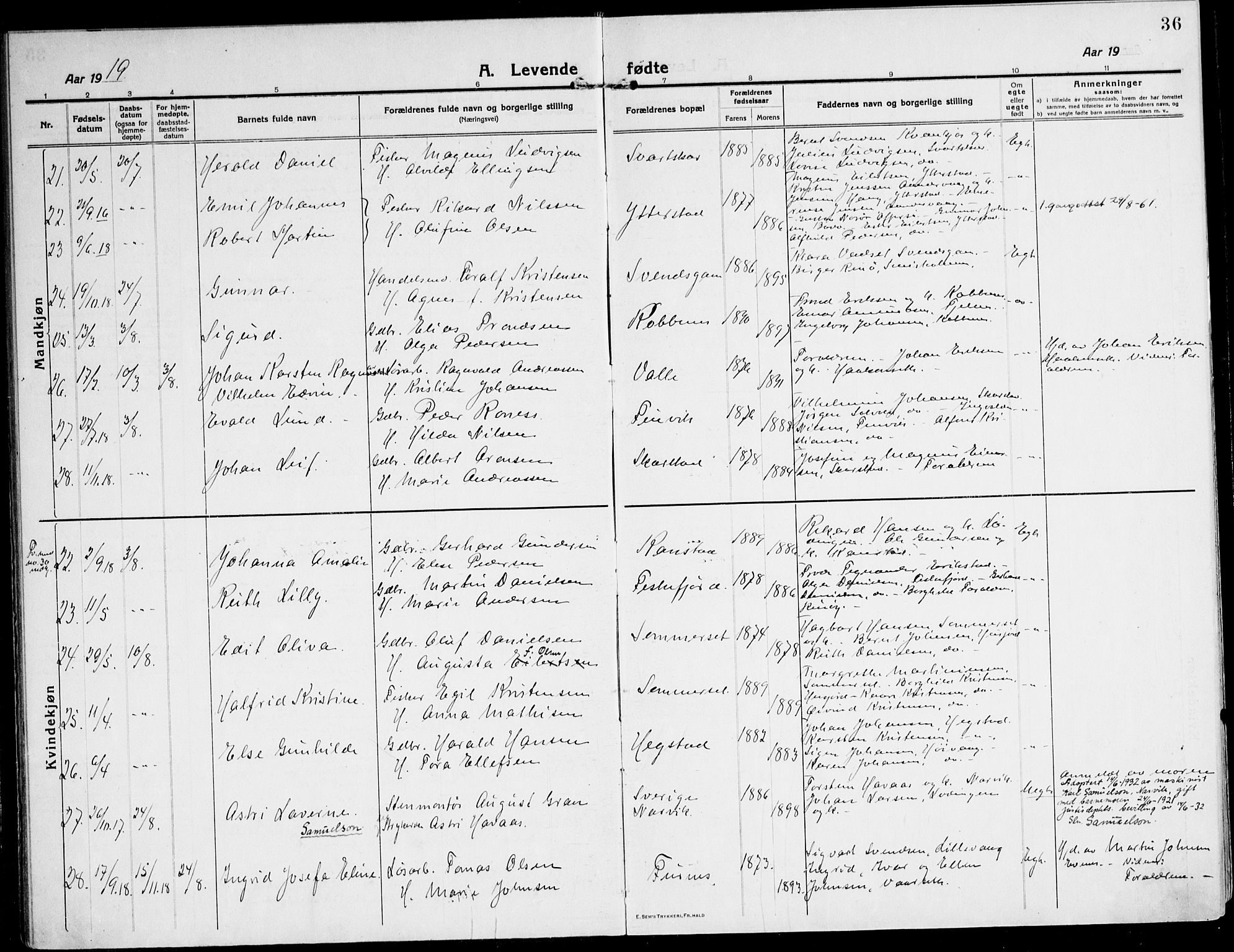 Ministerialprotokoller, klokkerbøker og fødselsregistre - Nordland, AV/SAT-A-1459/872/L1037: Parish register (official) no. 872A12, 1914-1925, p. 36