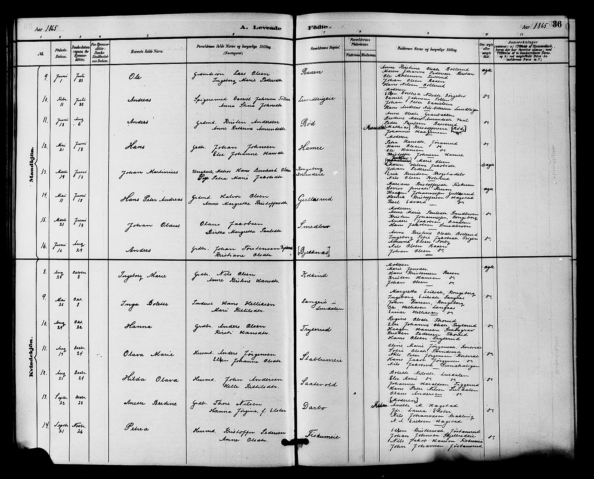 Fiskum kirkebøker, SAKO/A-15/F/Fa/L0001: Parish register (official) no. 1, 1858-1877, p. 36