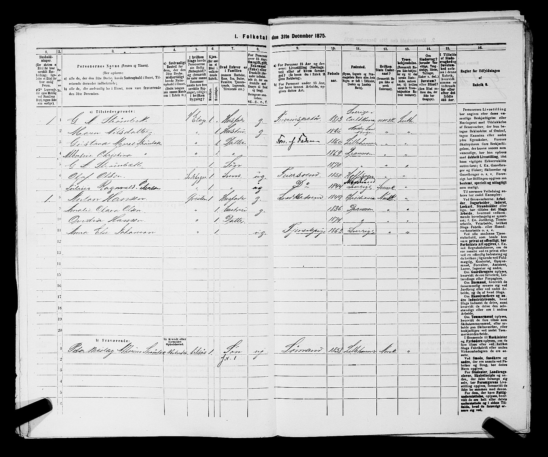 SAKO, 1875 census for 0602 Drammen, 1875, p. 2785