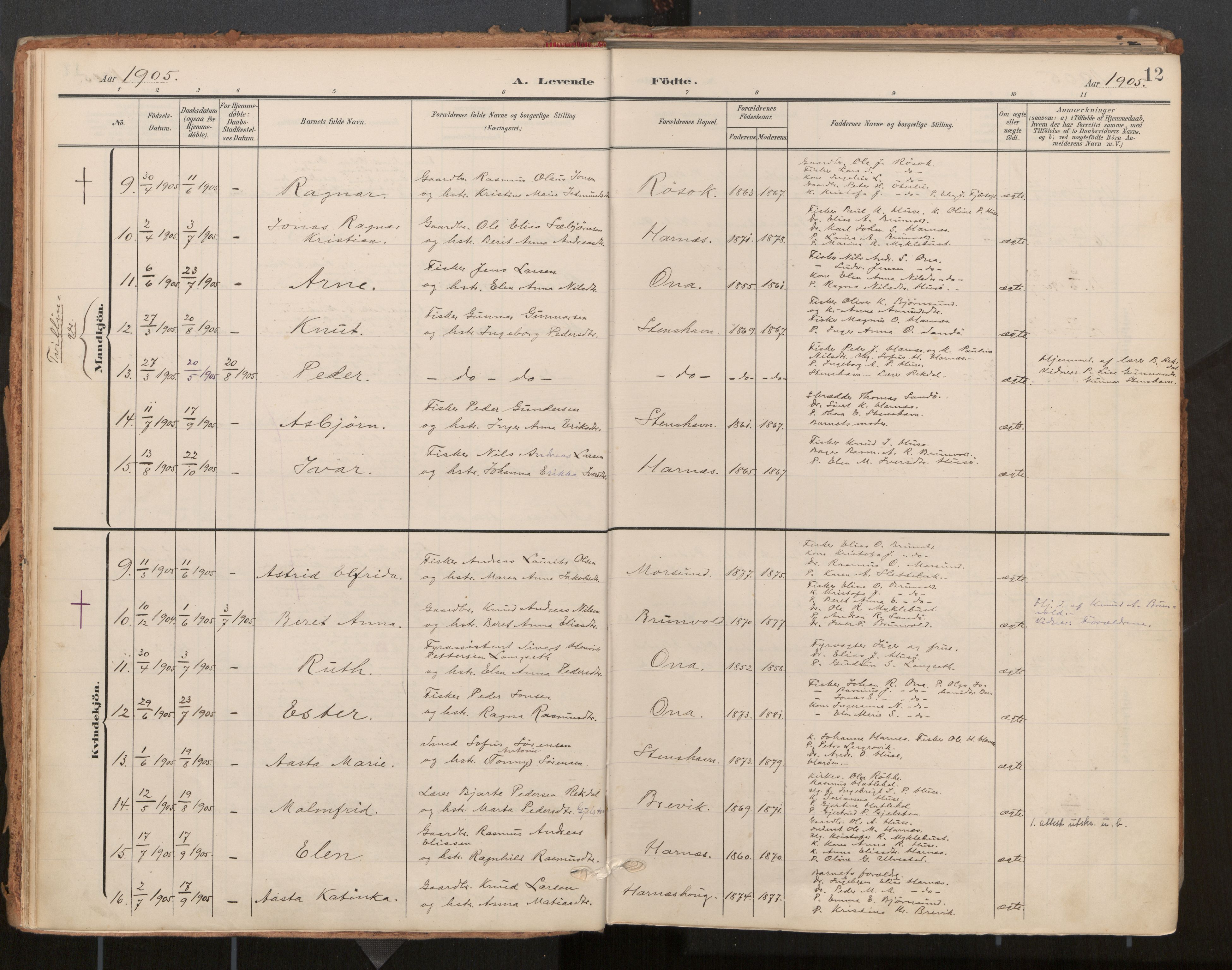 Ministerialprotokoller, klokkerbøker og fødselsregistre - Møre og Romsdal, AV/SAT-A-1454/561/L0730: Parish register (official) no. 561A04, 1901-1929, p. 12