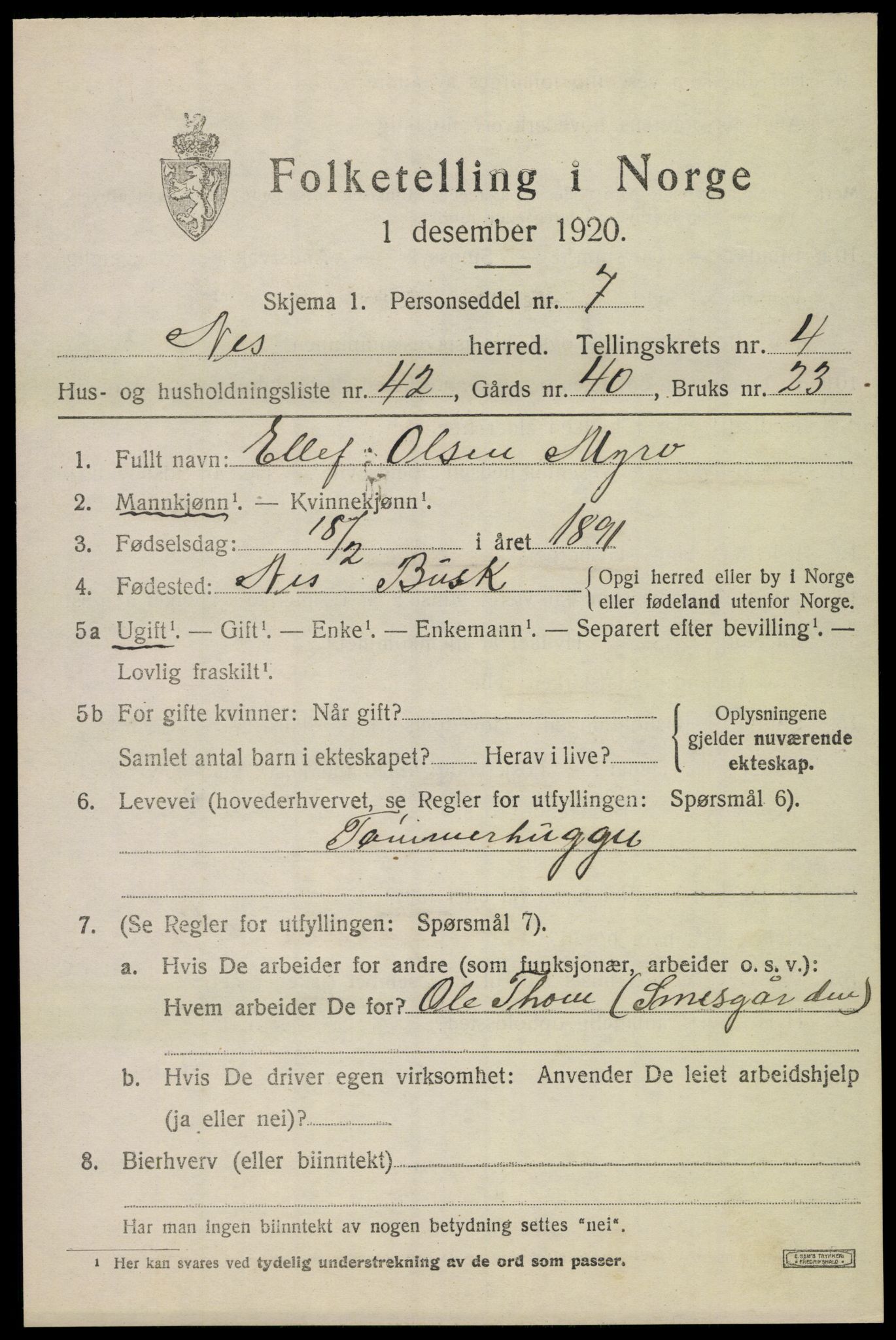 SAKO, 1920 census for Nes (Buskerud), 1920, p. 2482