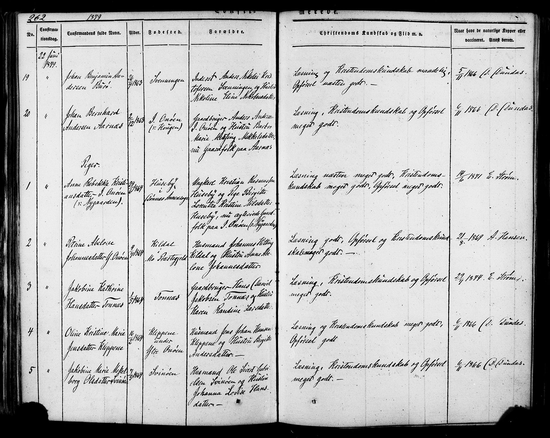 Ministerialprotokoller, klokkerbøker og fødselsregistre - Nordland, AV/SAT-A-1459/839/L0567: Parish register (official) no. 839A04, 1863-1879, p. 262