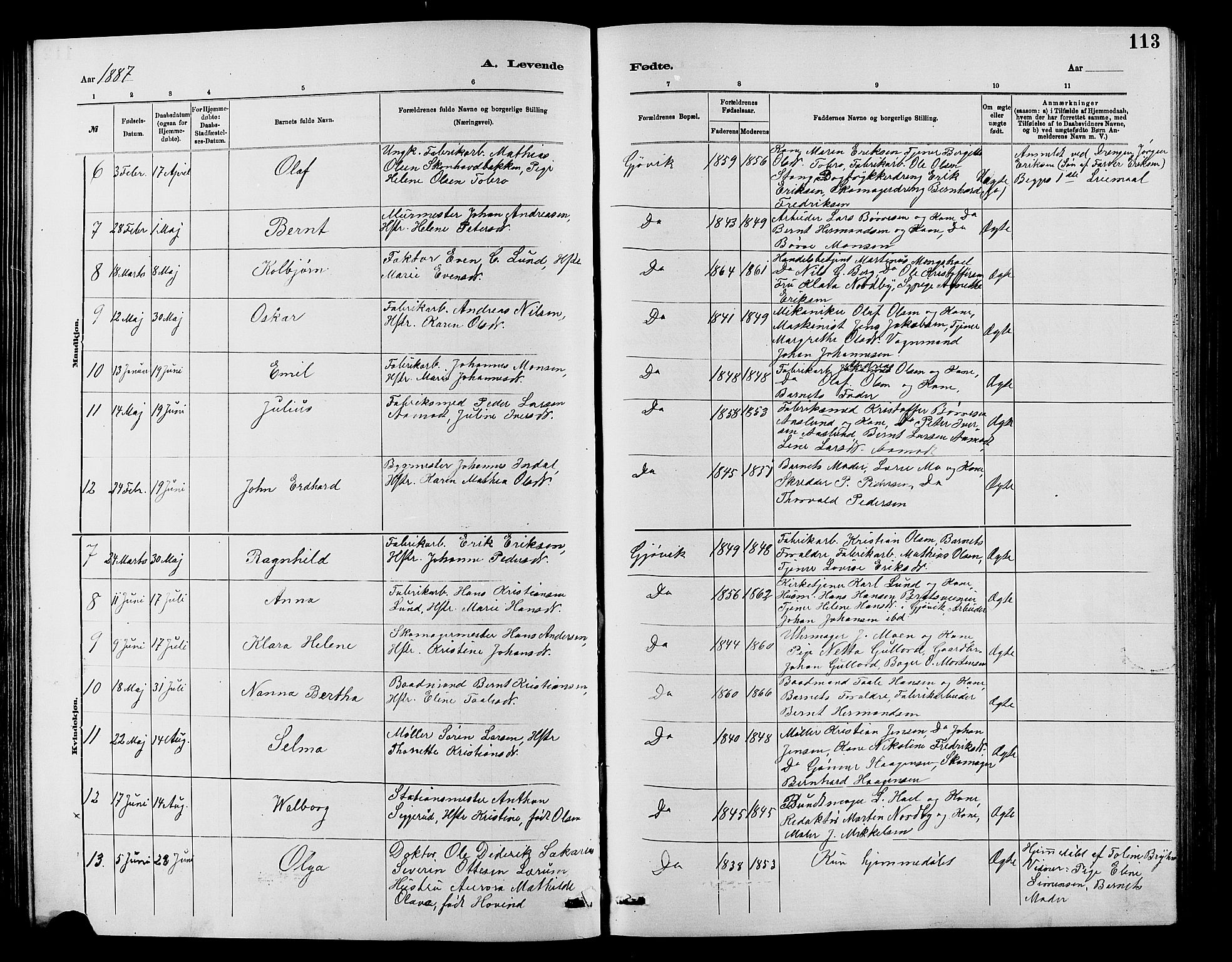 Vardal prestekontor, SAH/PREST-100/H/Ha/Hab/L0007: Parish register (copy) no. 7 /2, 1881-1895, p. 113