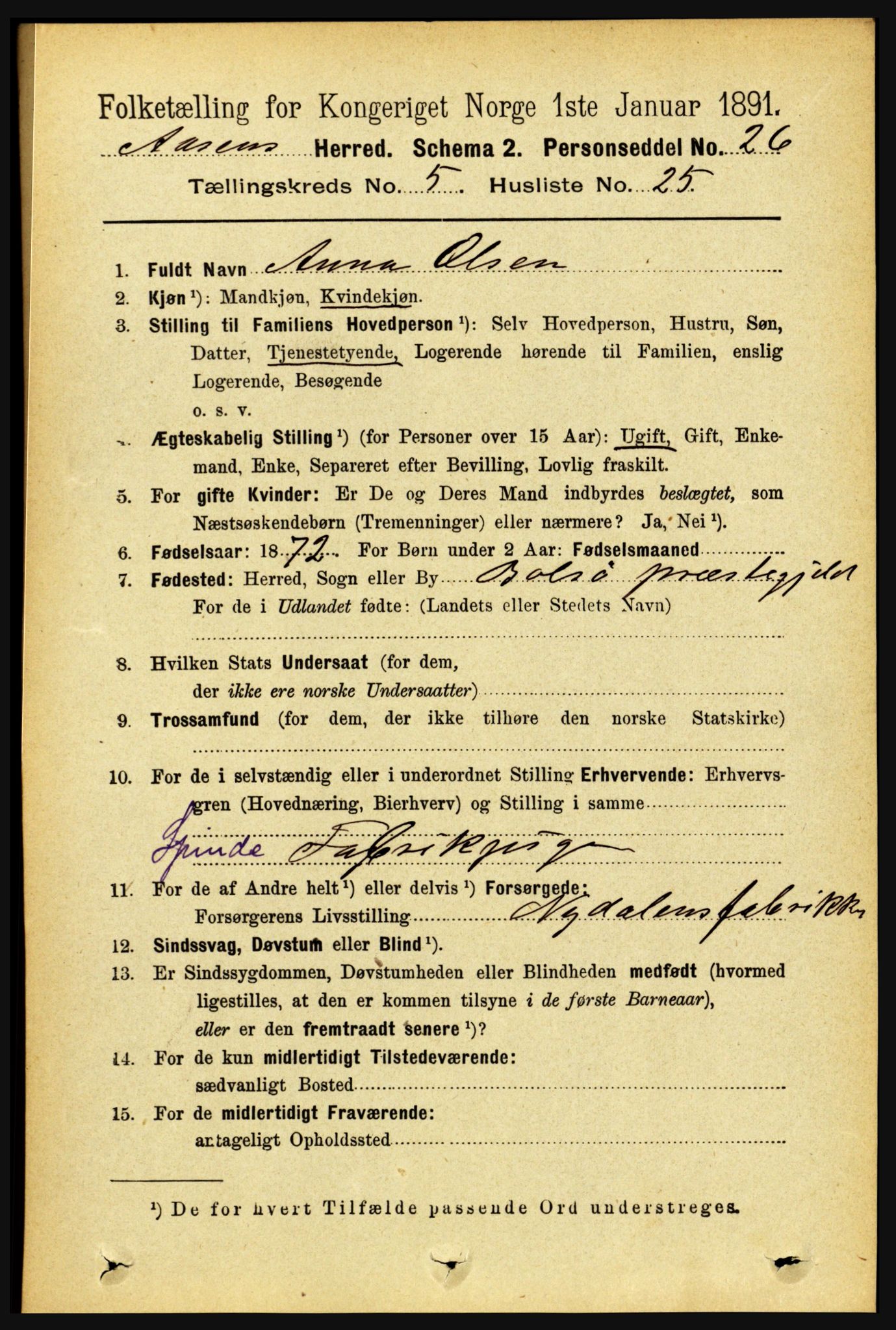 RA, 1891 census for 1716 Åsen, 1891, p. 2110