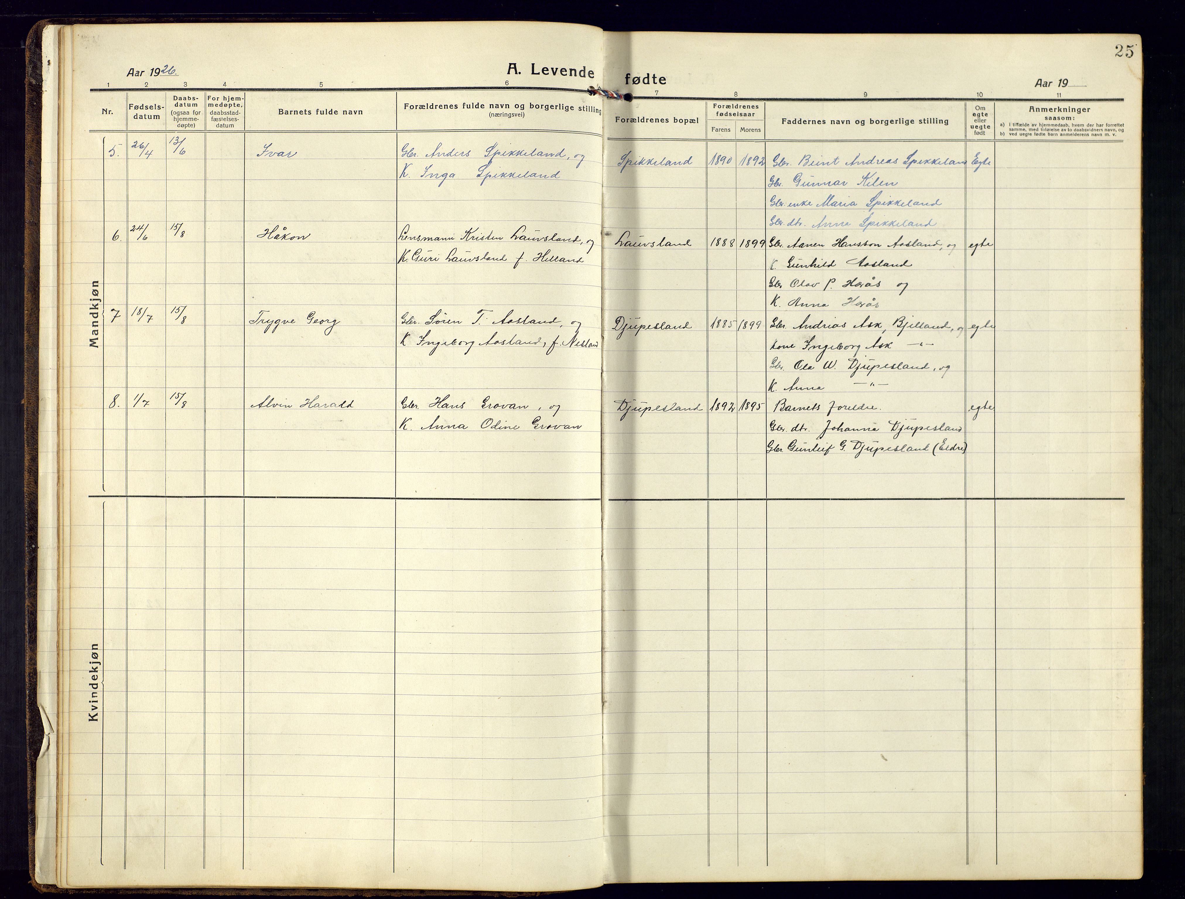 Bjelland sokneprestkontor, SAK/1111-0005/F/Fb/Fbb/L0006: Parish register (copy) no. B-6, 1918-1946, p. 25