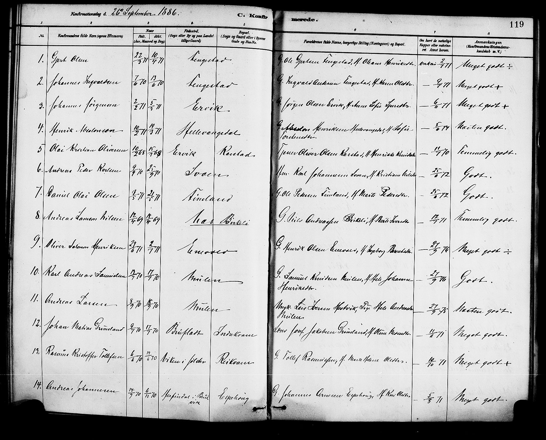 Førde sokneprestembete, SAB/A-79901/H/Haa/Haad/L0001: Parish register (official) no. D 1, 1881-1898, p. 119