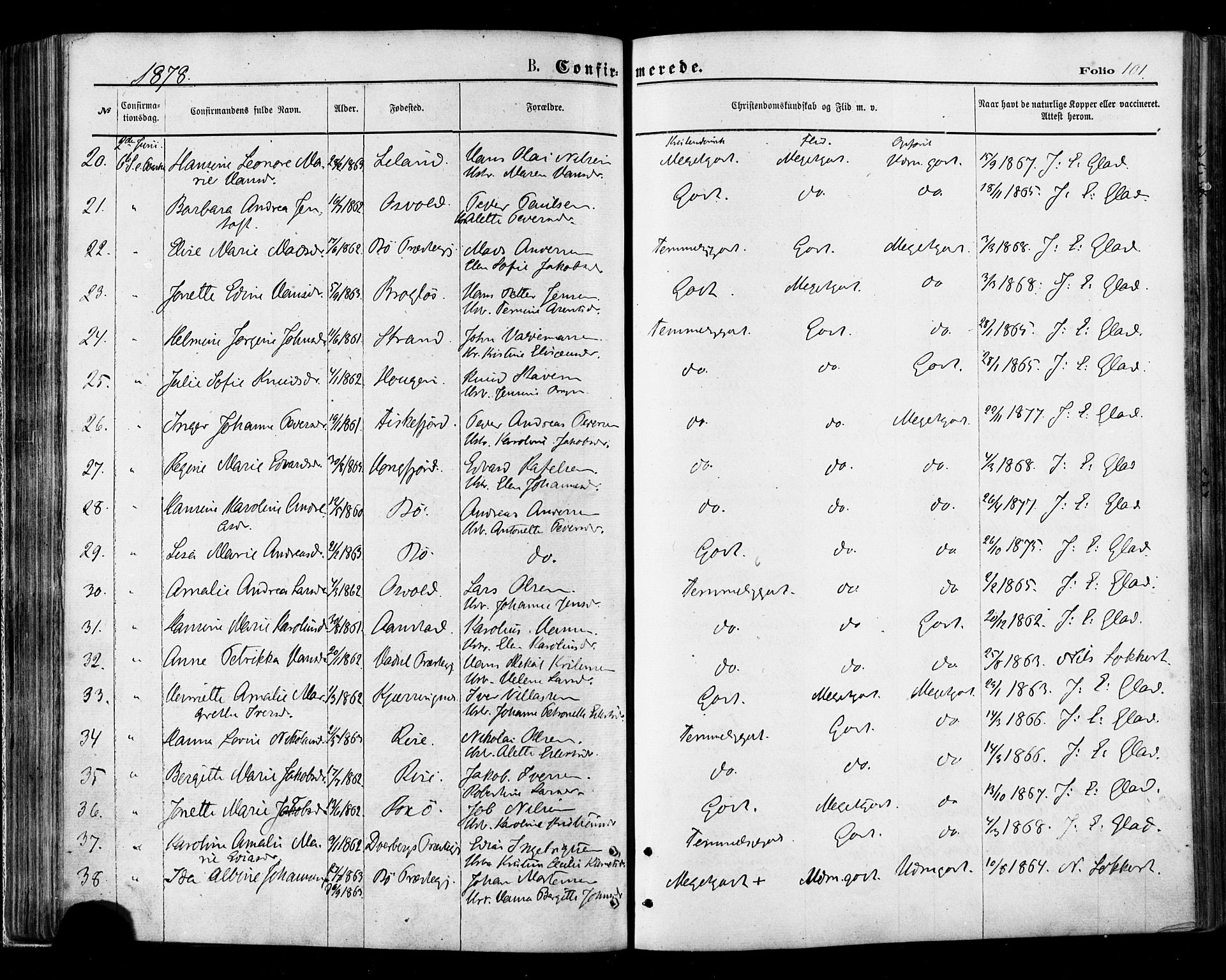 Ministerialprotokoller, klokkerbøker og fødselsregistre - Nordland, AV/SAT-A-1459/895/L1370: Parish register (official) no. 895A05, 1873-1884, p. 101