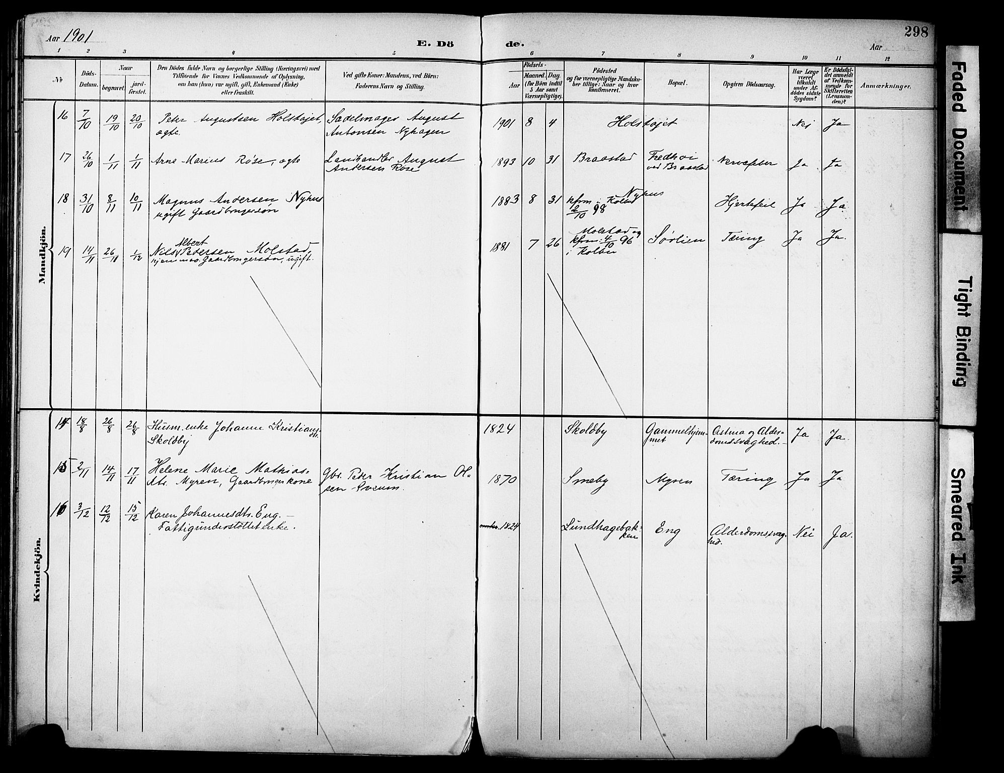 Vestre Toten prestekontor, SAH/PREST-108/H/Ha/Haa/L0013: Parish register (official) no. 13, 1895-1911, p. 298