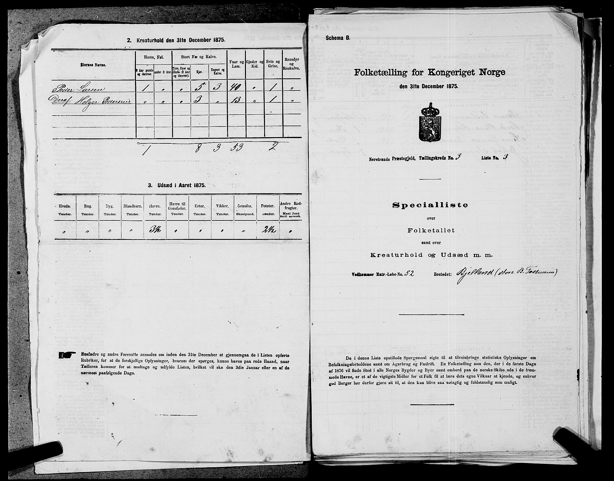 SAST, 1875 census for 1139P Nedstrand, 1875, p. 446