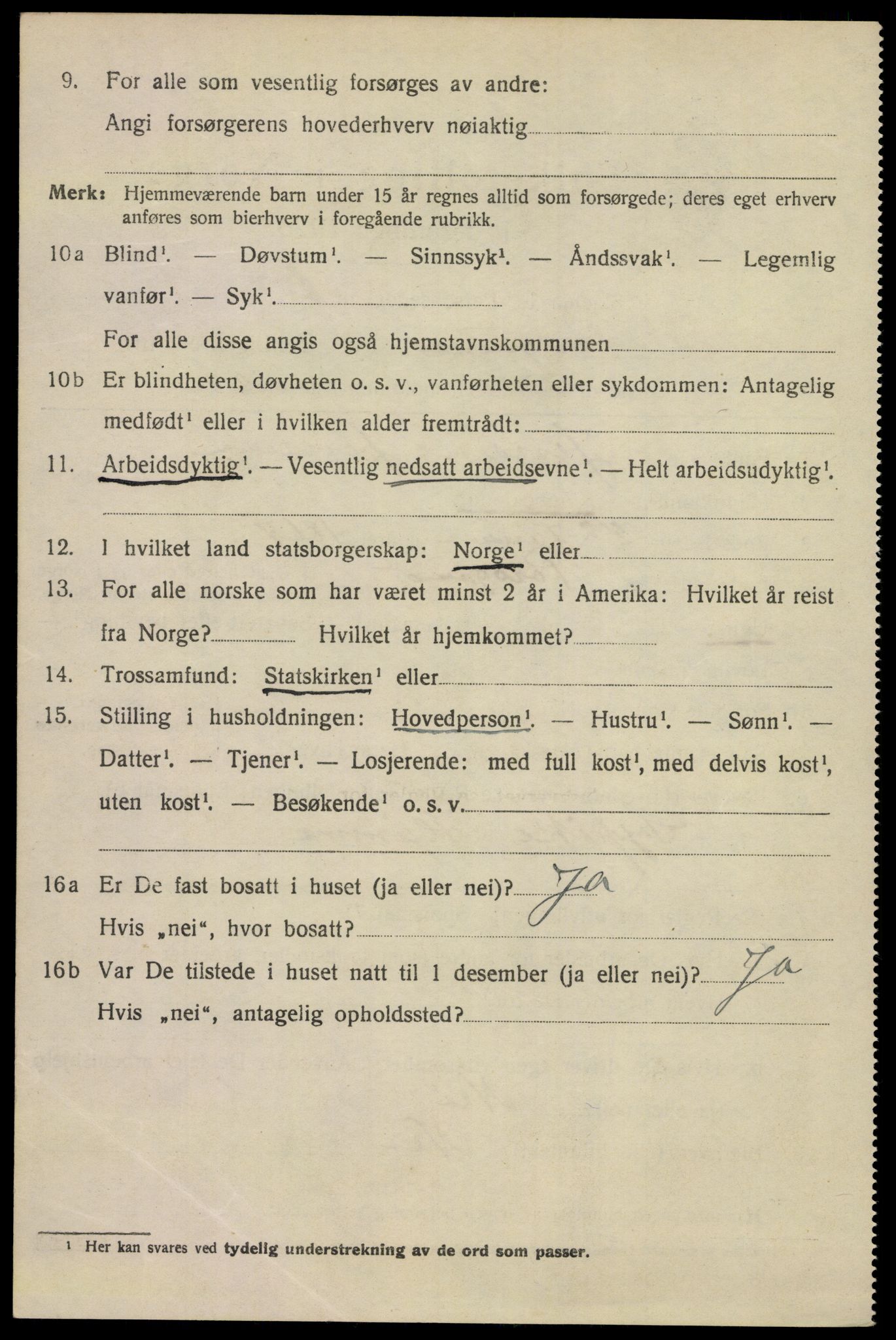 SAKO, 1920 census for Porsgrunn, 1920, p. 17362