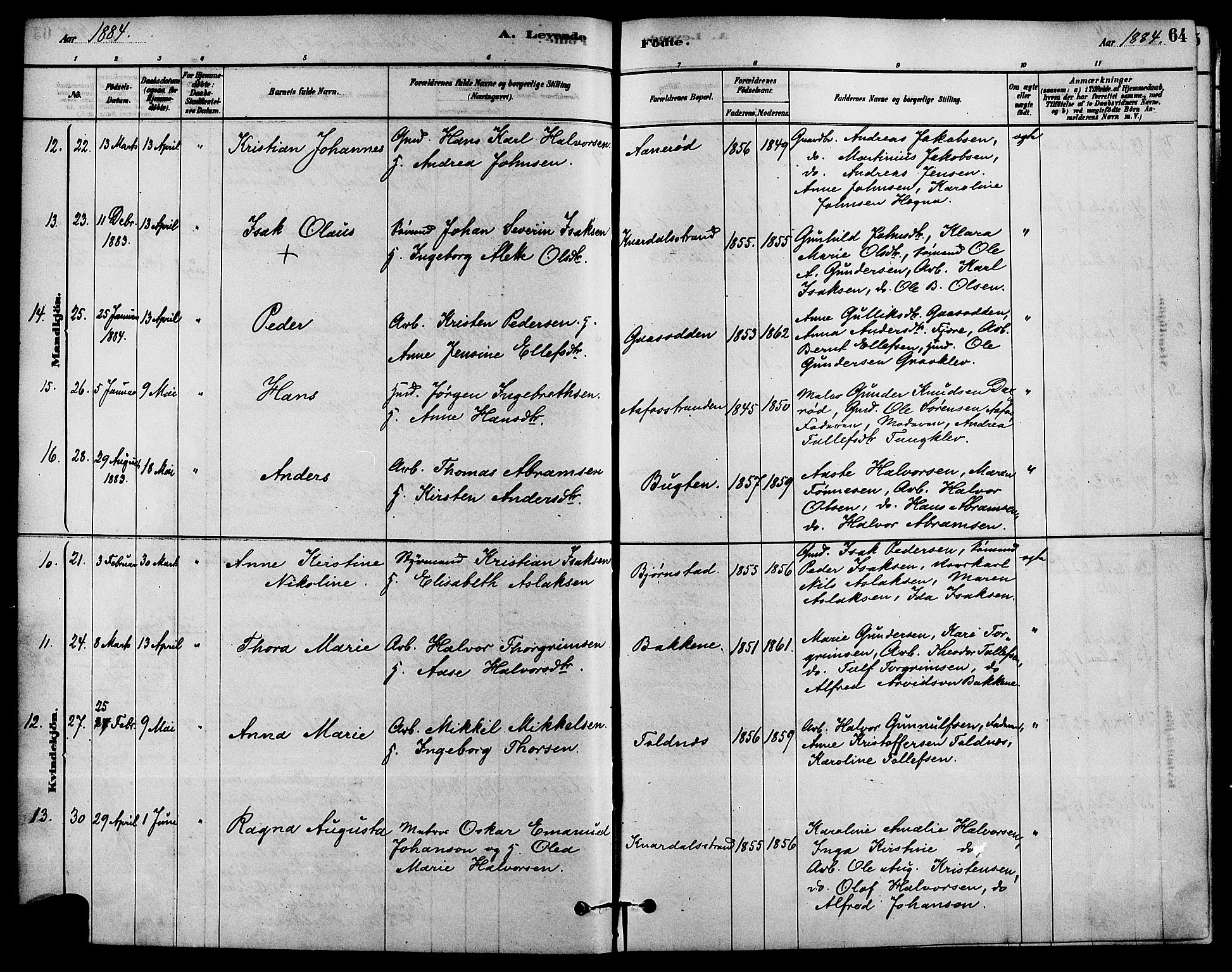 Solum kirkebøker, AV/SAKO-A-306/F/Fa/L0009: Parish register (official) no. I 9, 1877-1887, p. 64