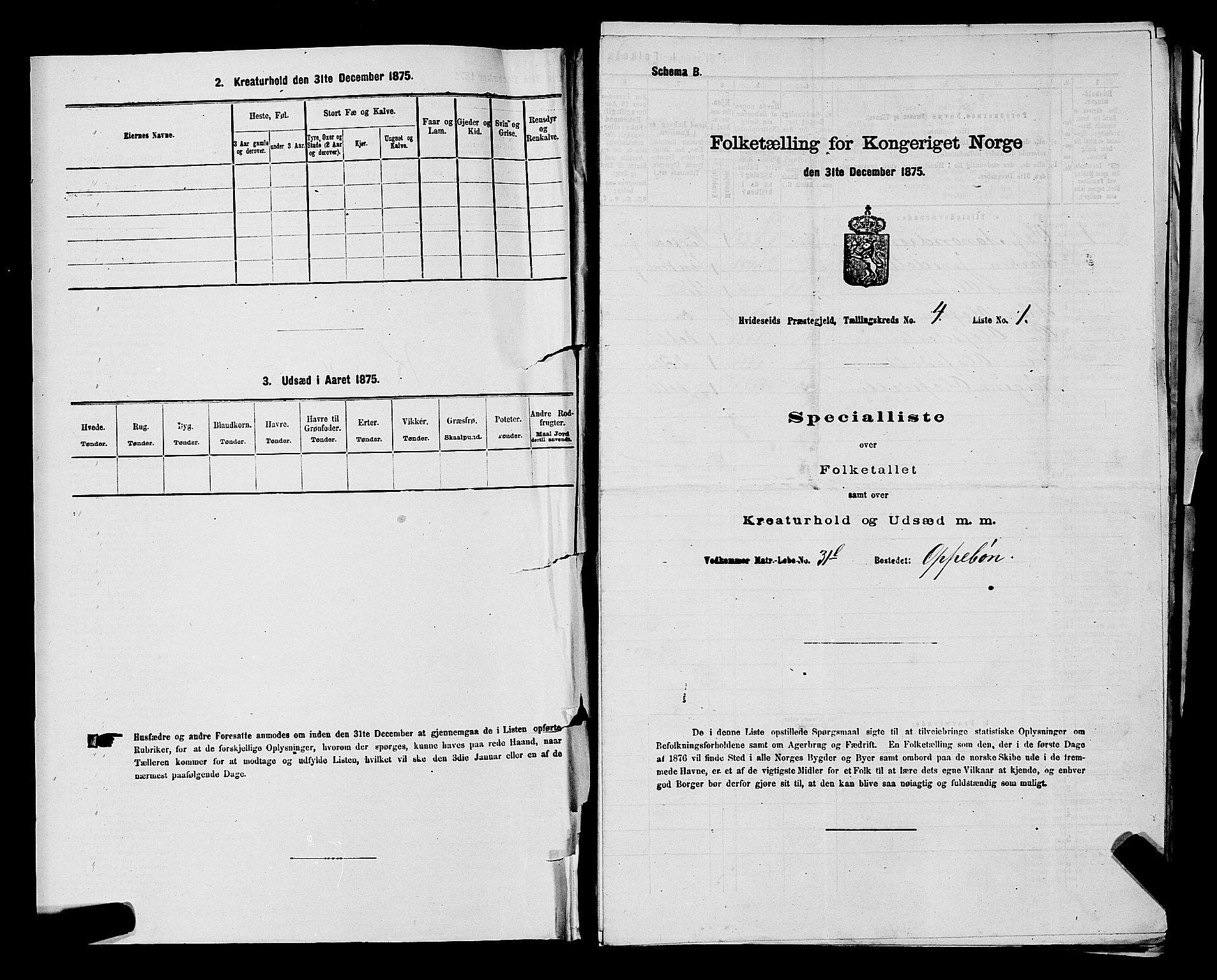 SAKO, 1875 census for 0829P Kviteseid, 1875, p. 381