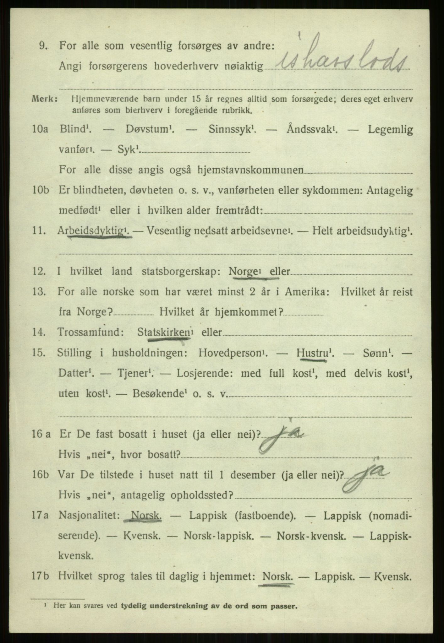 SATØ, 1920 census for Tromsøysund, 1920, p. 3845