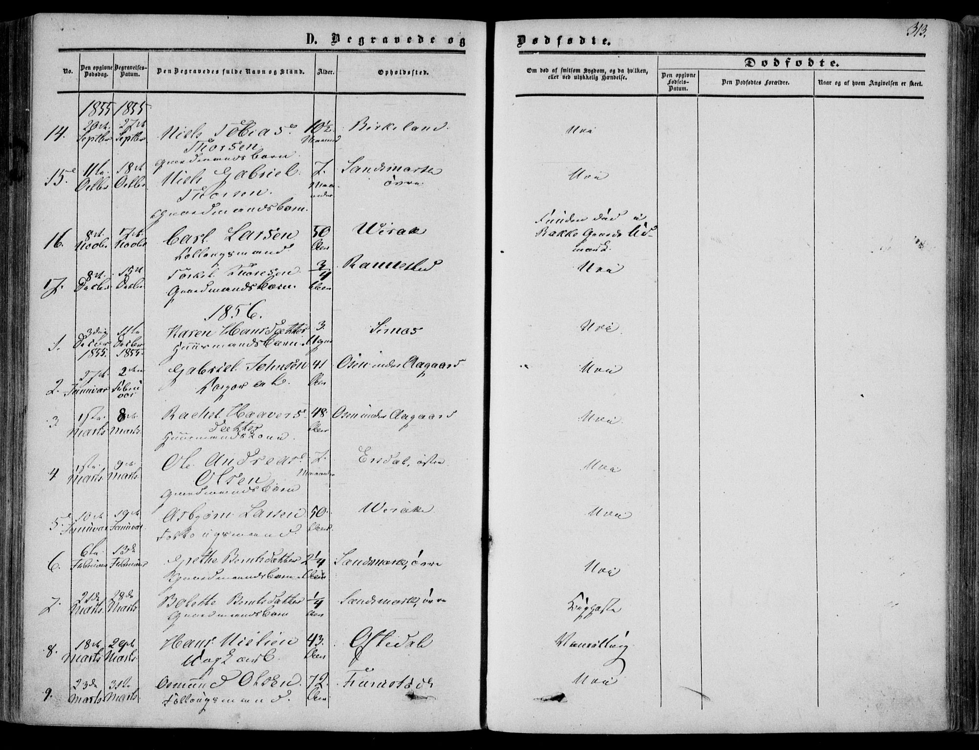 Bakke sokneprestkontor, SAK/1111-0002/F/Fa/Faa/L0006: Parish register (official) no. A 6, 1855-1877, p. 313