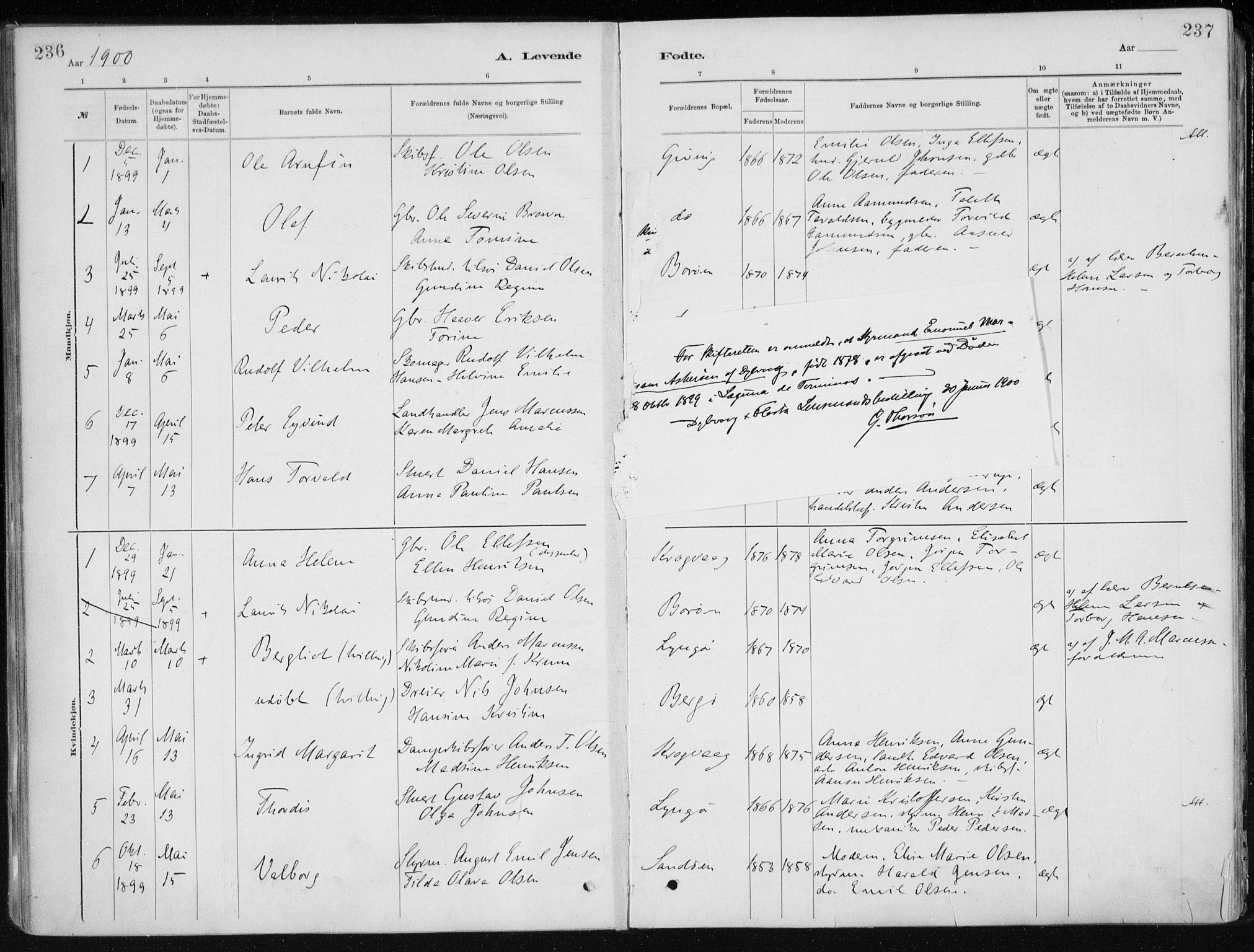 Dypvåg sokneprestkontor, AV/SAK-1111-0007/F/Fa/Faa/L0008: Parish register (official) no. A 8, 1885-1906, p. 236-237