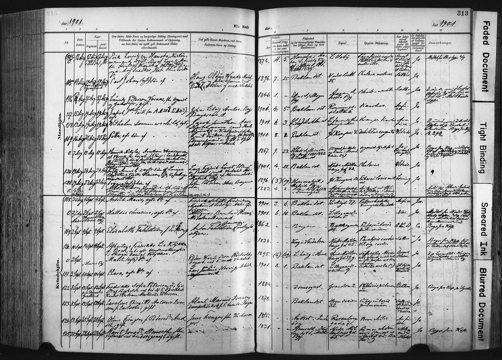 Ministerialprotokoller, klokkerbøker og fødselsregistre - Sør-Trøndelag, SAT/A-1456/604/L0201: Parish register (official) no. 604A21, 1901-1911, p. 313