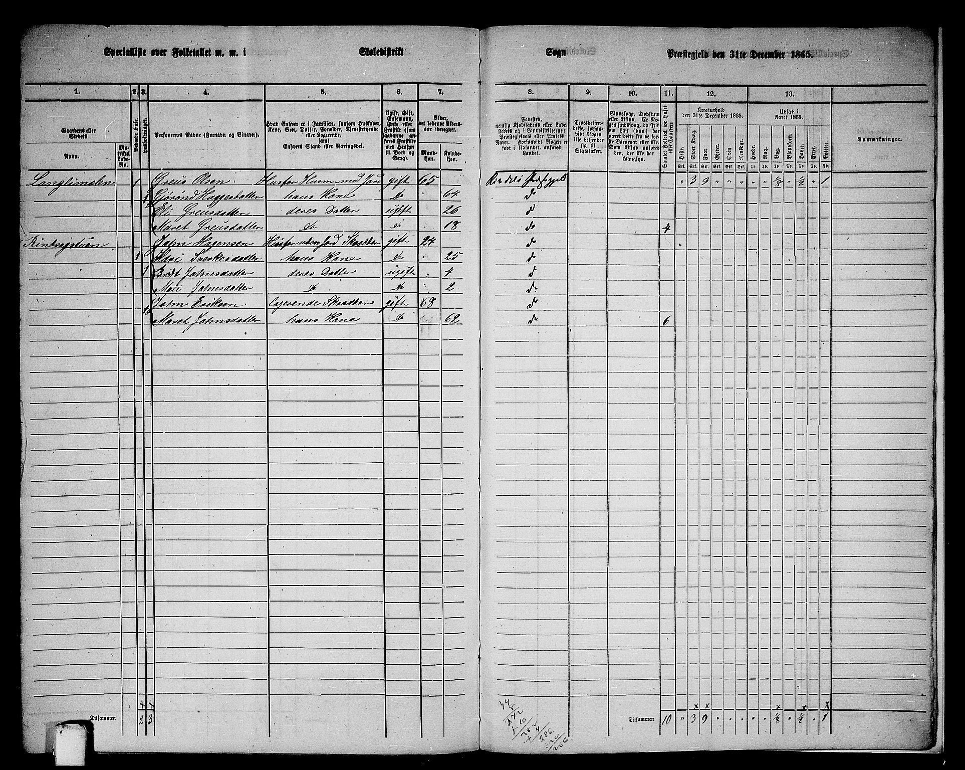 RA, 1865 census for Rindal, 1865, p. 113