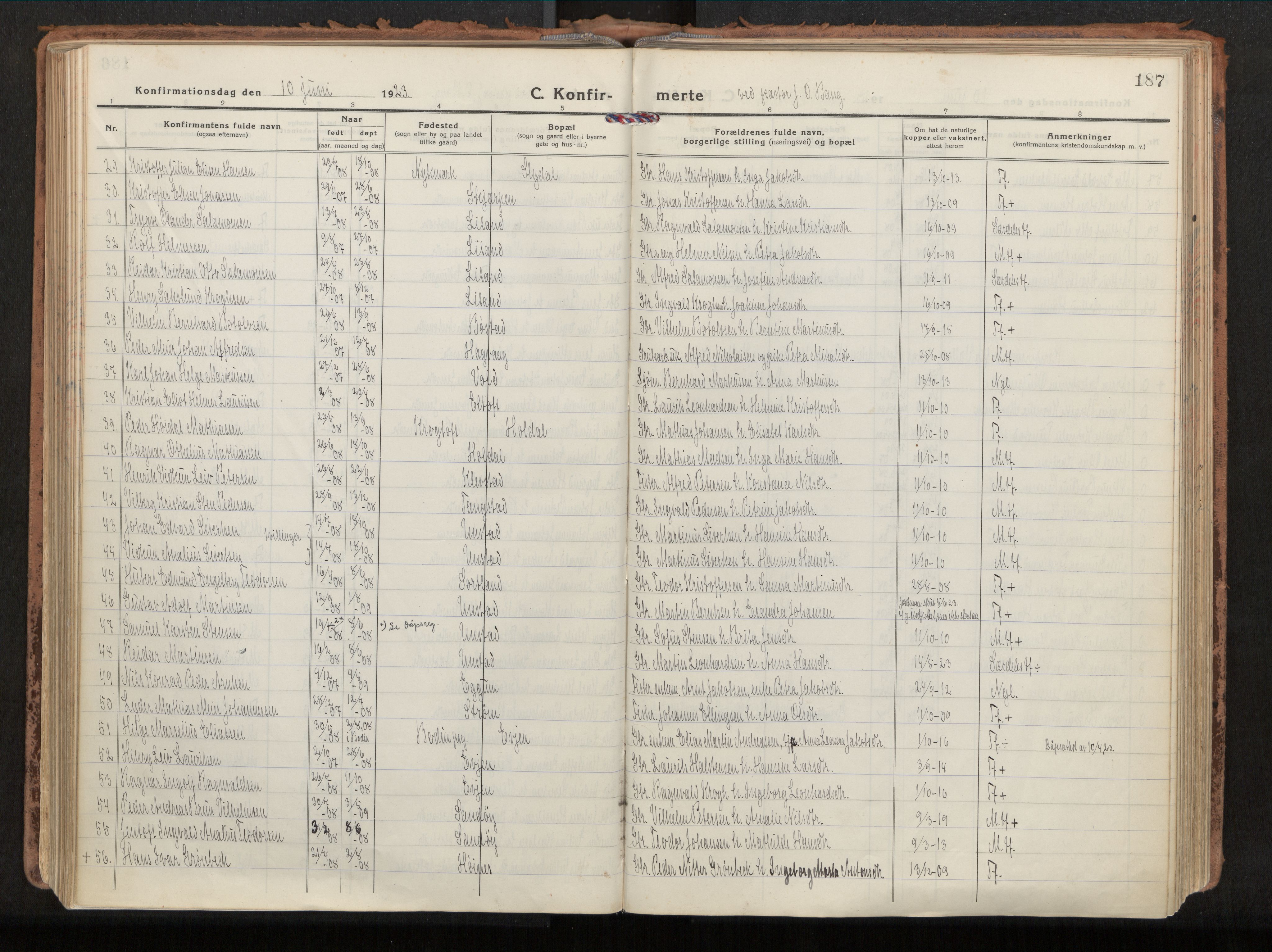 Ministerialprotokoller, klokkerbøker og fødselsregistre - Nordland, AV/SAT-A-1459/880/L1136: Parish register (official) no. 880A10, 1919-1927, p. 187