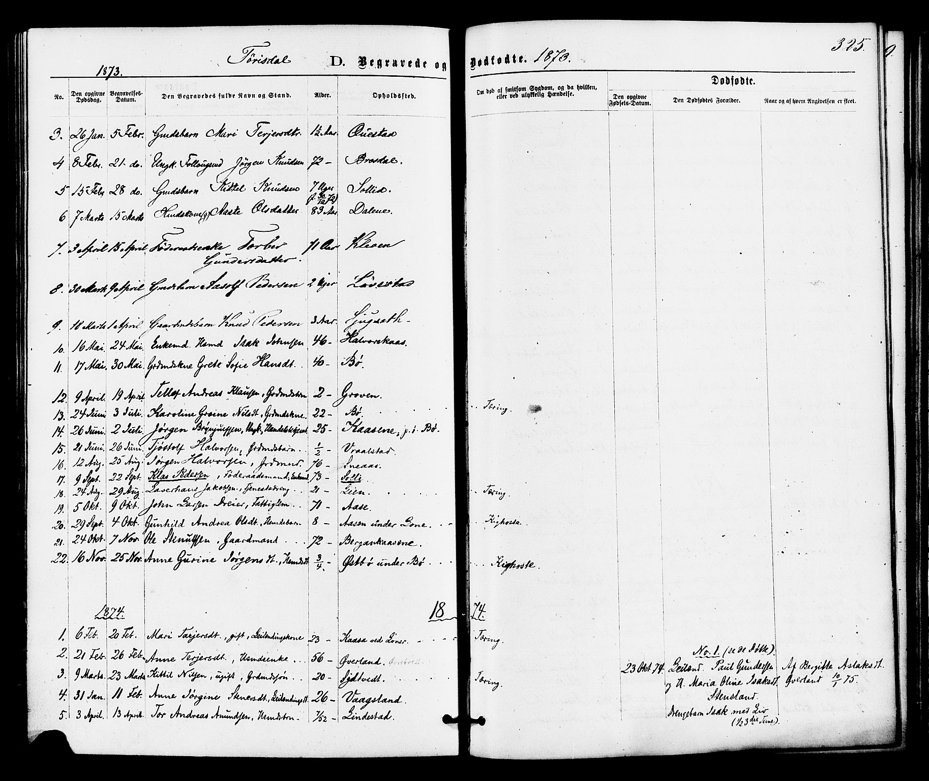 Drangedal kirkebøker, SAKO/A-258/F/Fa/L0009: Parish register (official) no. 9 /2, 1872-1884, p. 325